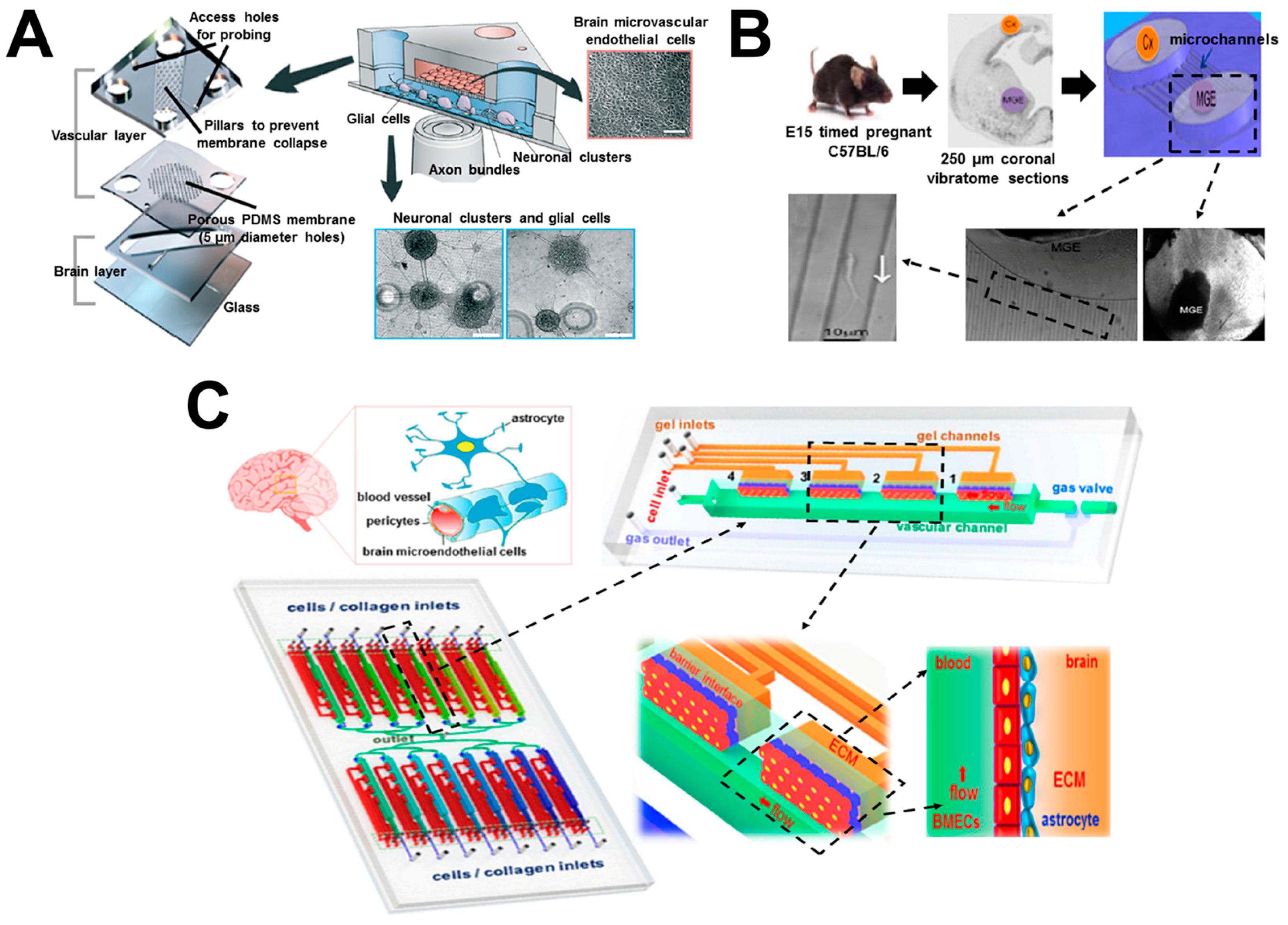 Micromachines 08 00324 g006 550