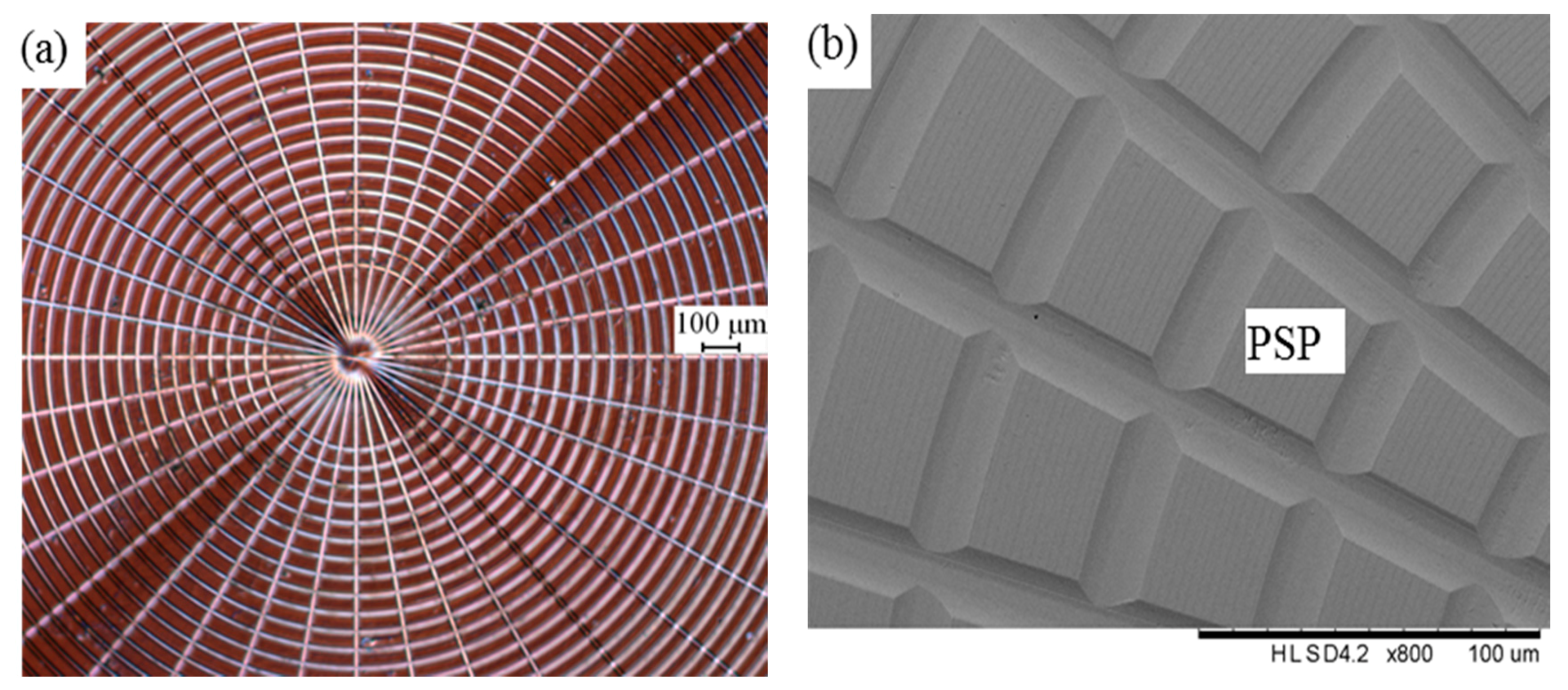 Micromachines 08 00345 g008