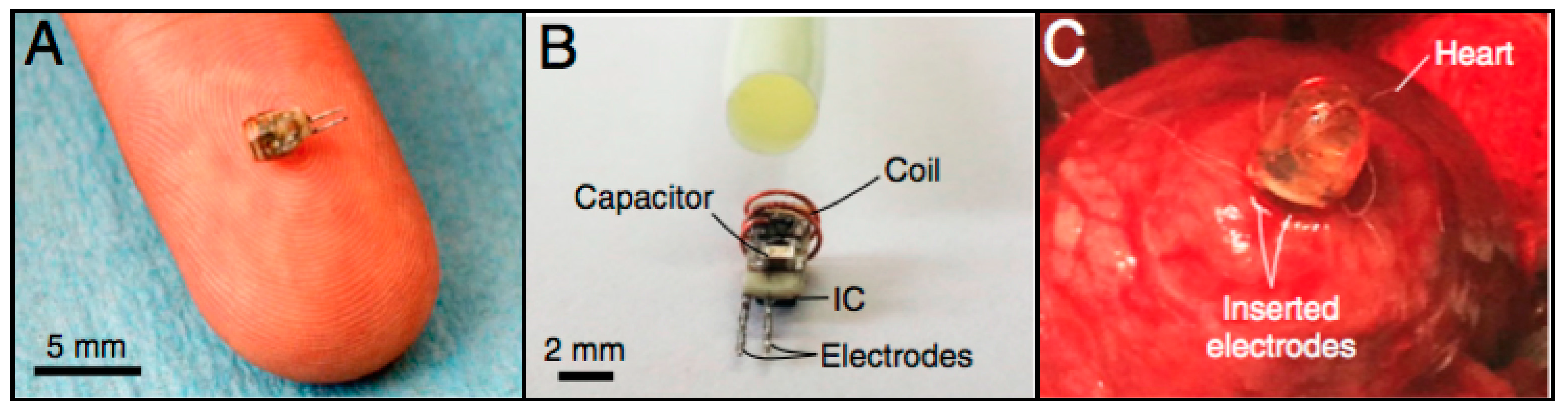 Micromachines 08 00359 g002 550