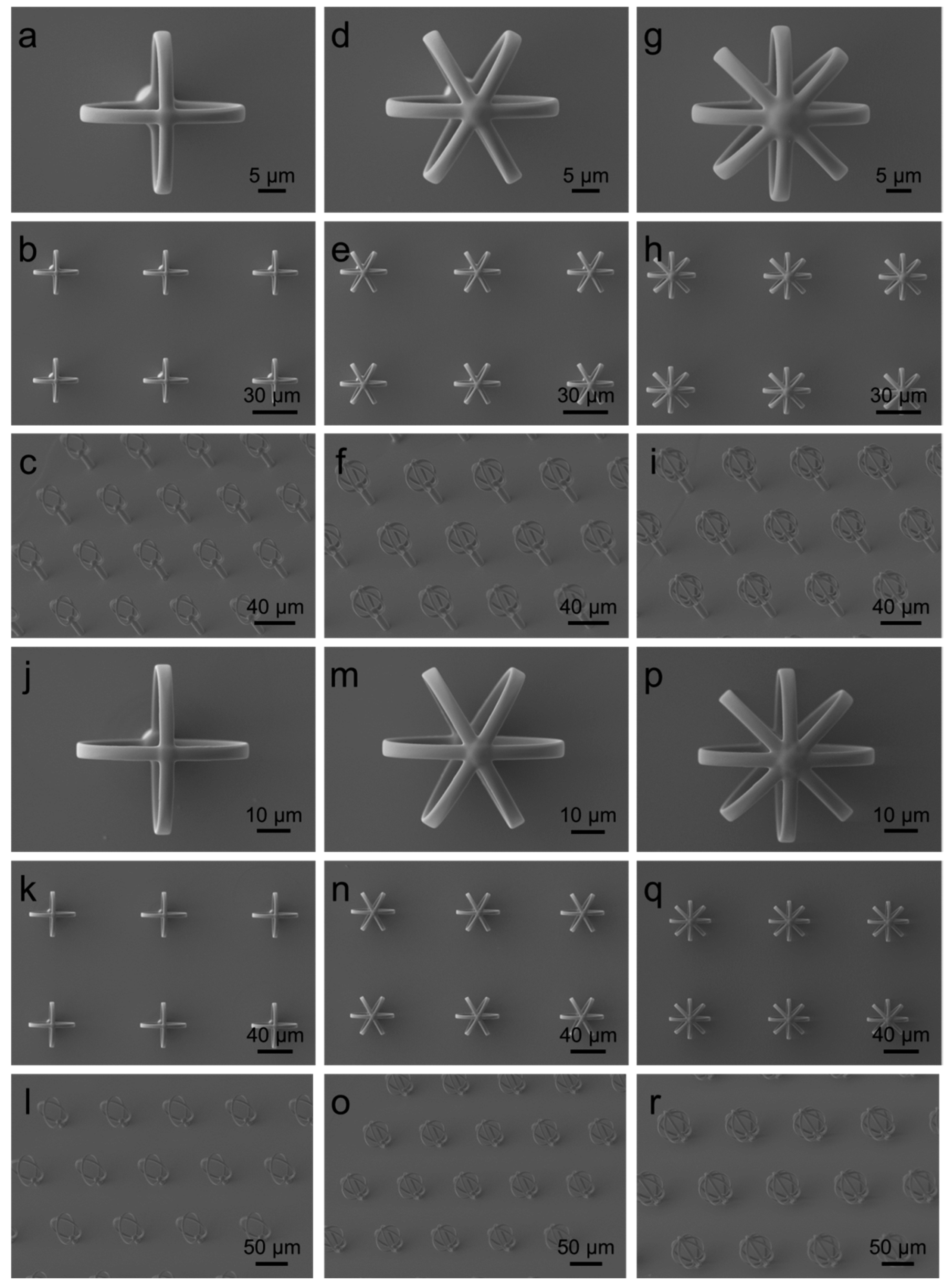 Micromachines 08 00366 g002 550