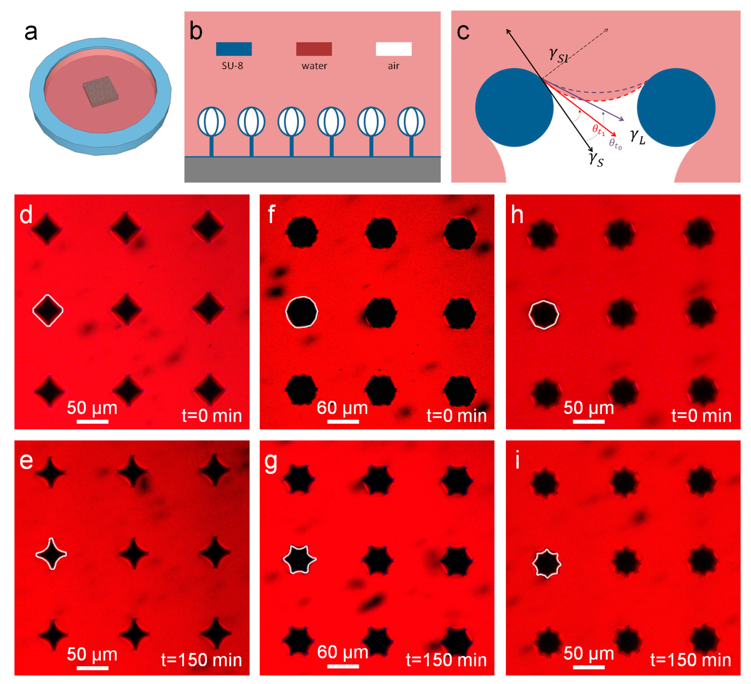 Micromachines 08 00366 g003 550