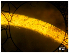 Micromachines 09 00004 i001