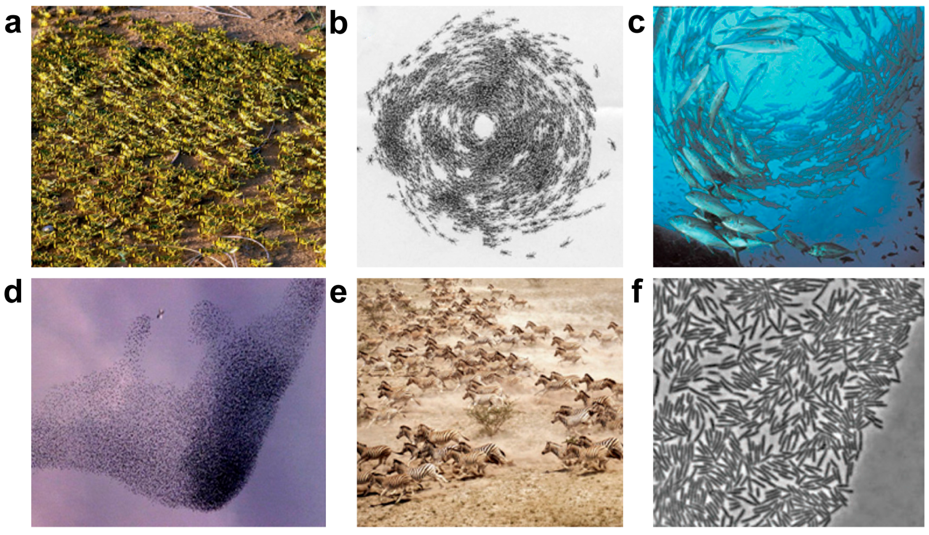 Micromachines 09 00010 g001 Micromachines 09 00010 g001