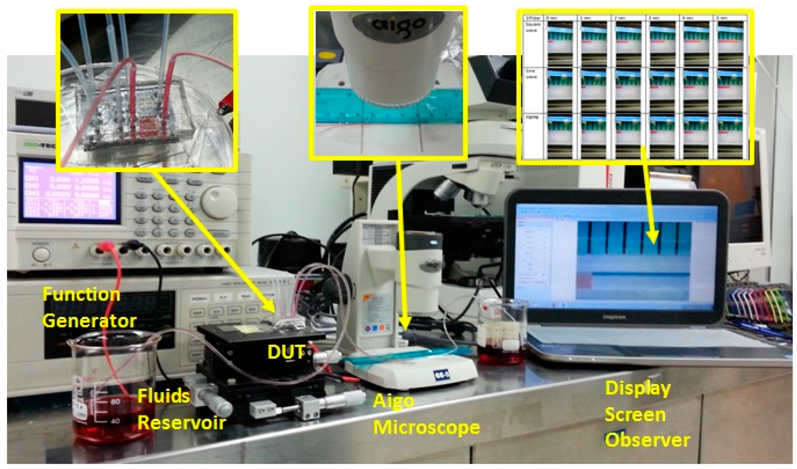 Micromachines 09 00013 g009 550