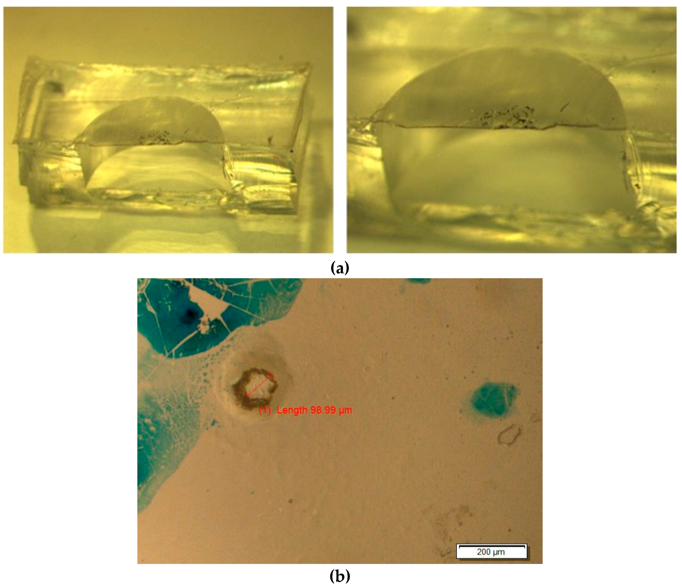 Micromachines 09 00028 g002 550