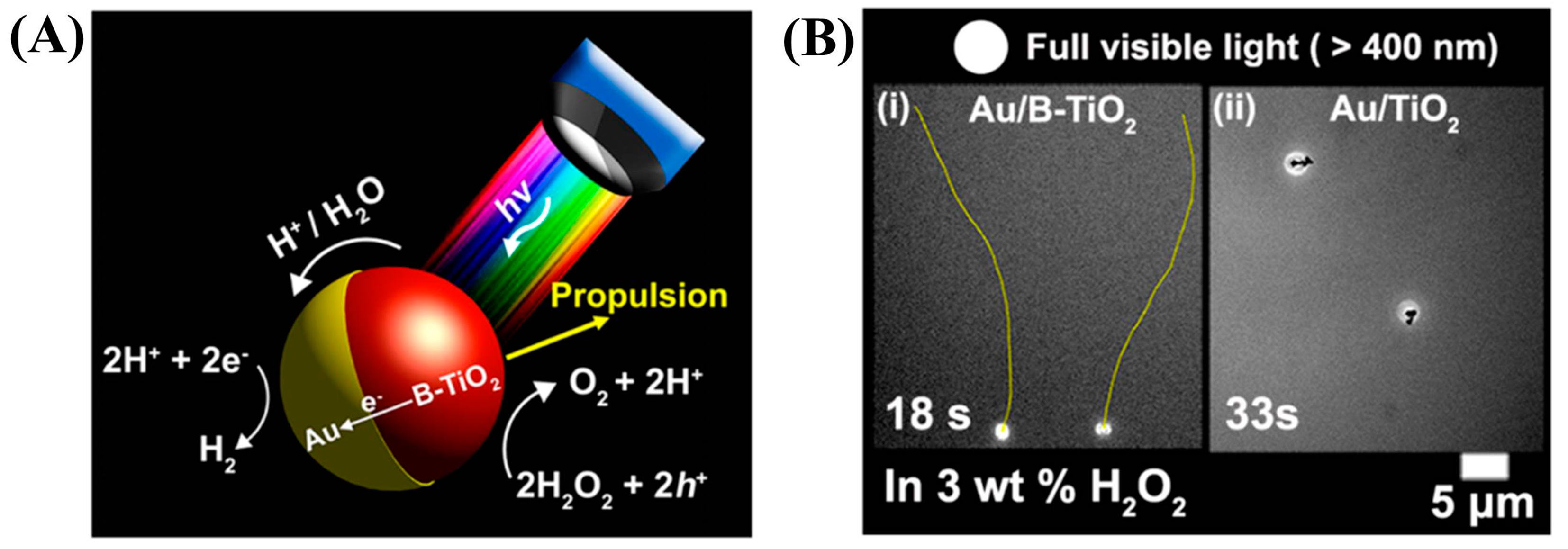 Micromachines 09 00041 g010