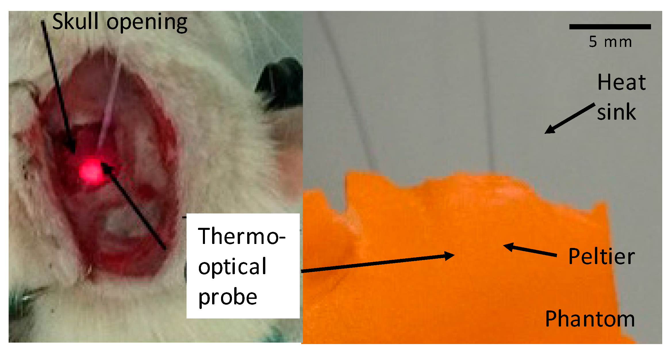 Micromachines 09 00047 g006