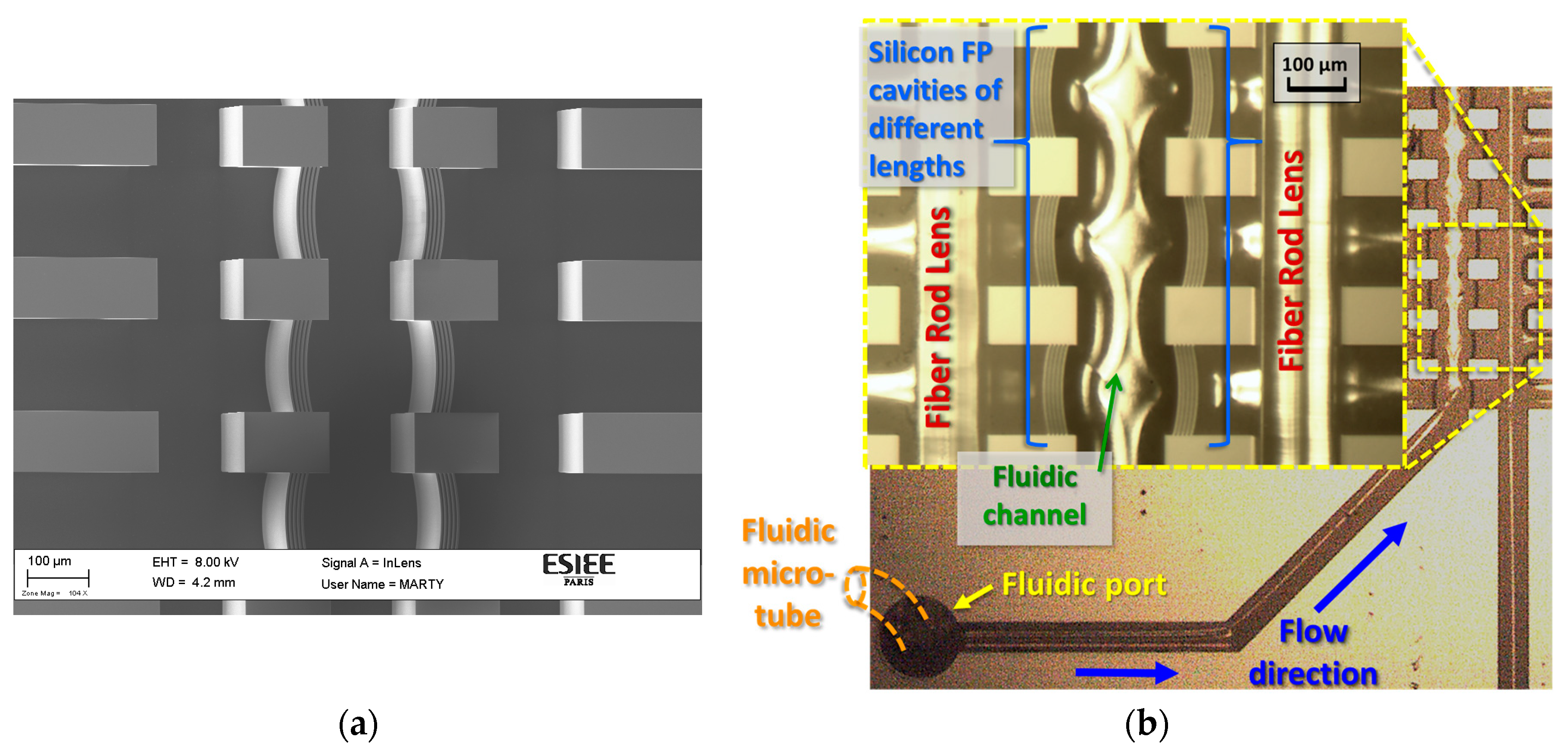 Micromachines 09 00054 g003 550