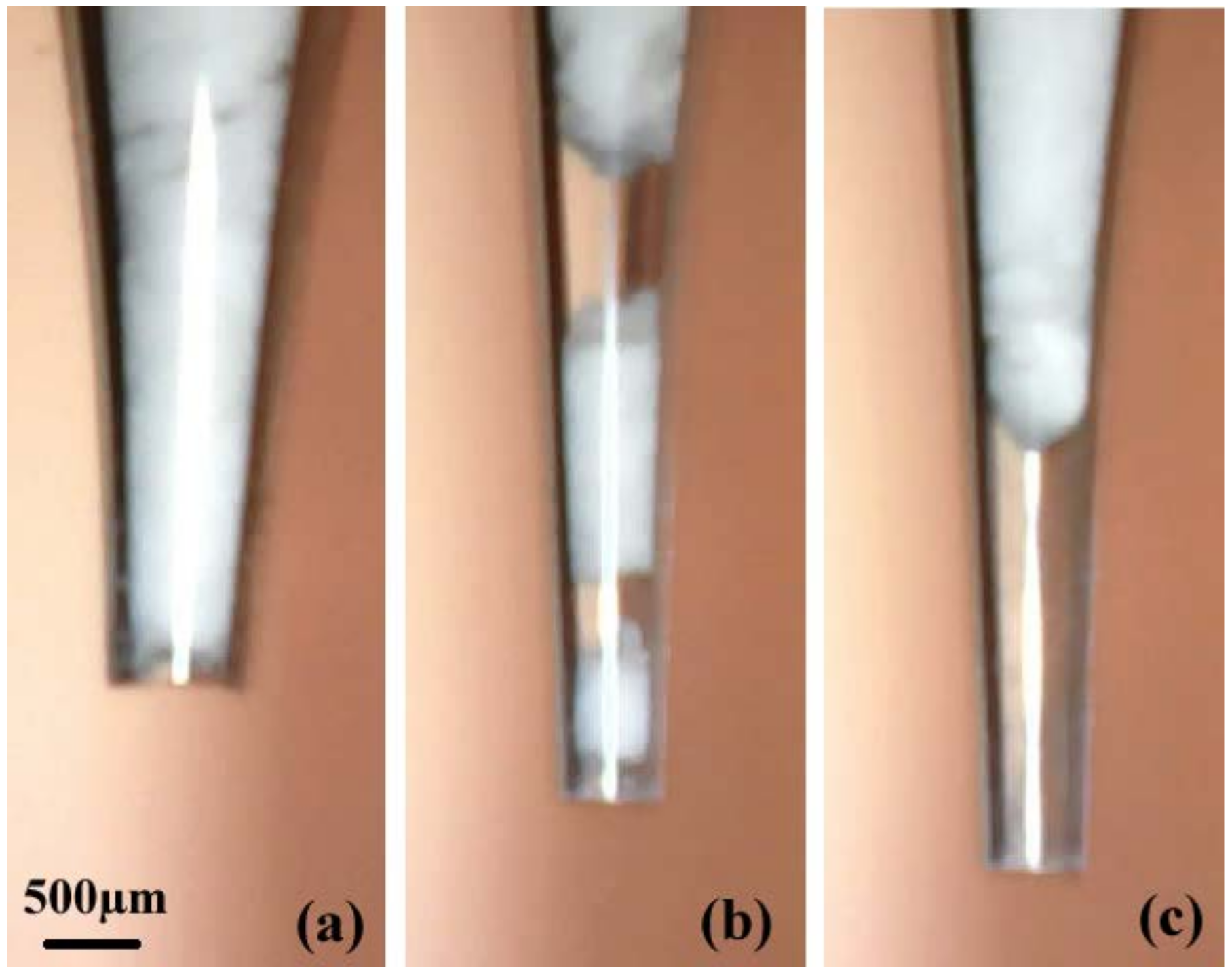 Micromachines 09 00073 g006