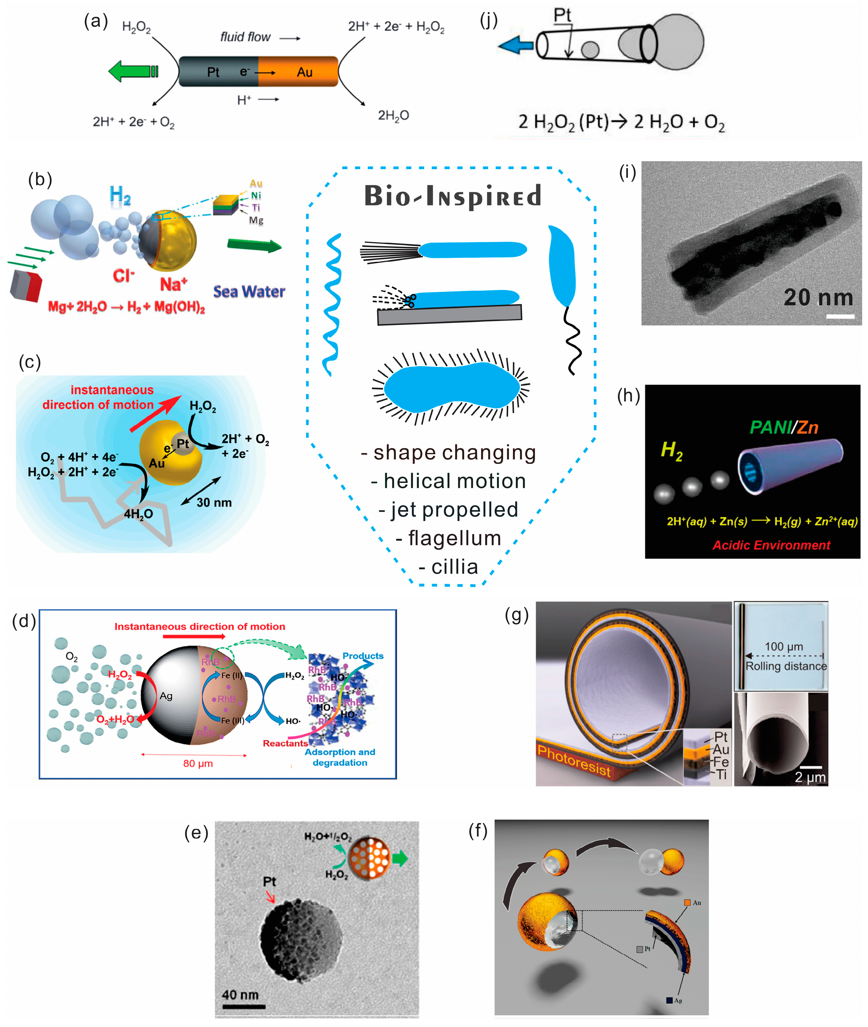 Geometry Design, Principles and Assembly of Micromotors