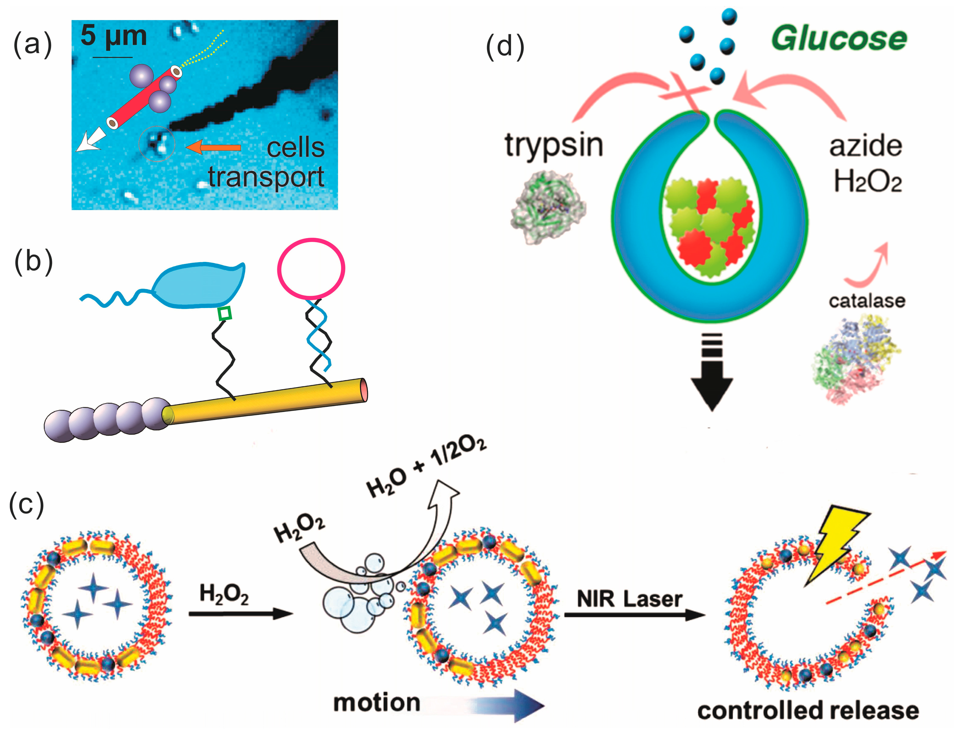Micromachines 09 00075 g007 Micromachines 09 00075 g007