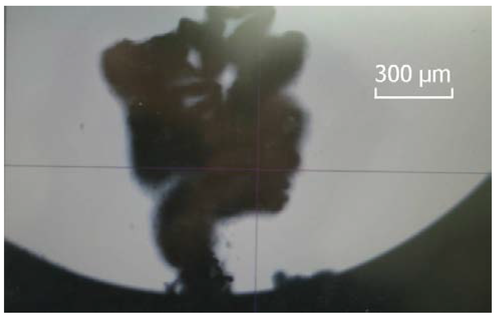 Micromachines 09 00077 g009