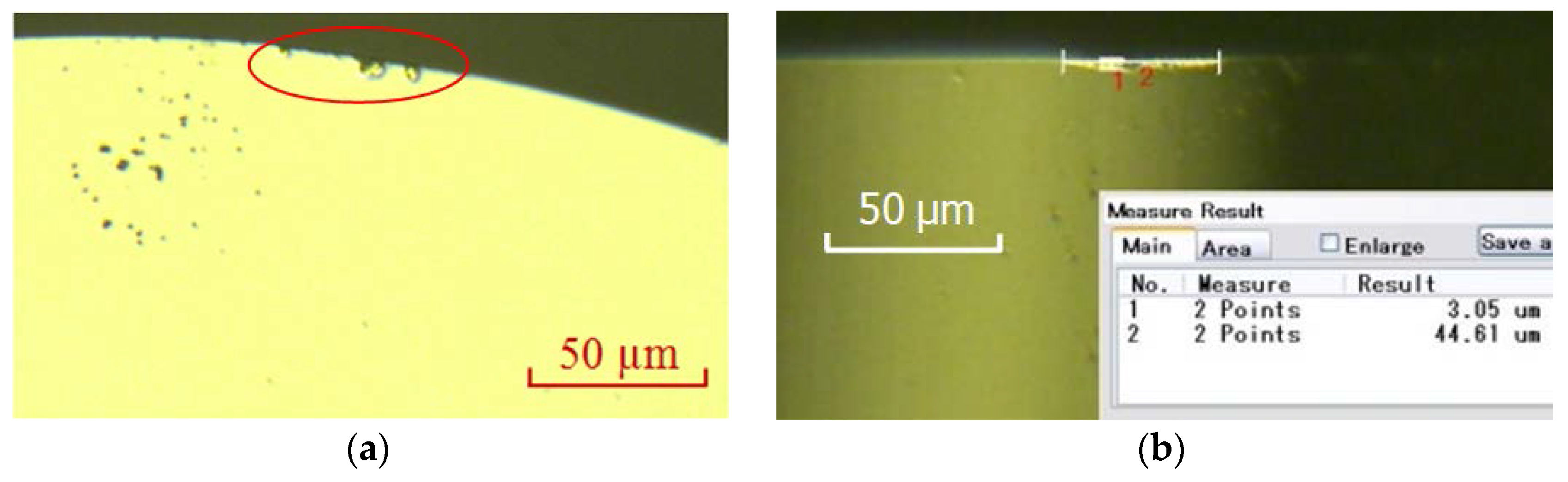 Micromachines 09 00077 g011