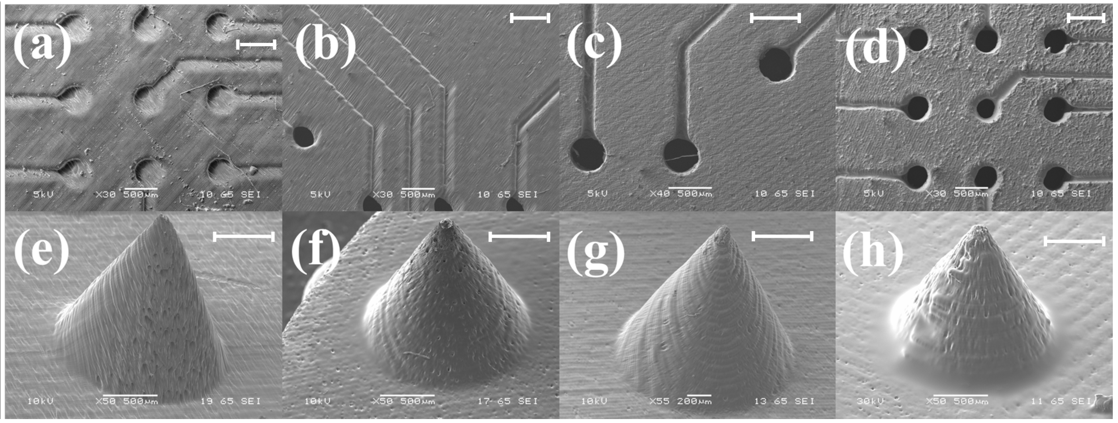 Micromachines 09 00085 g005
