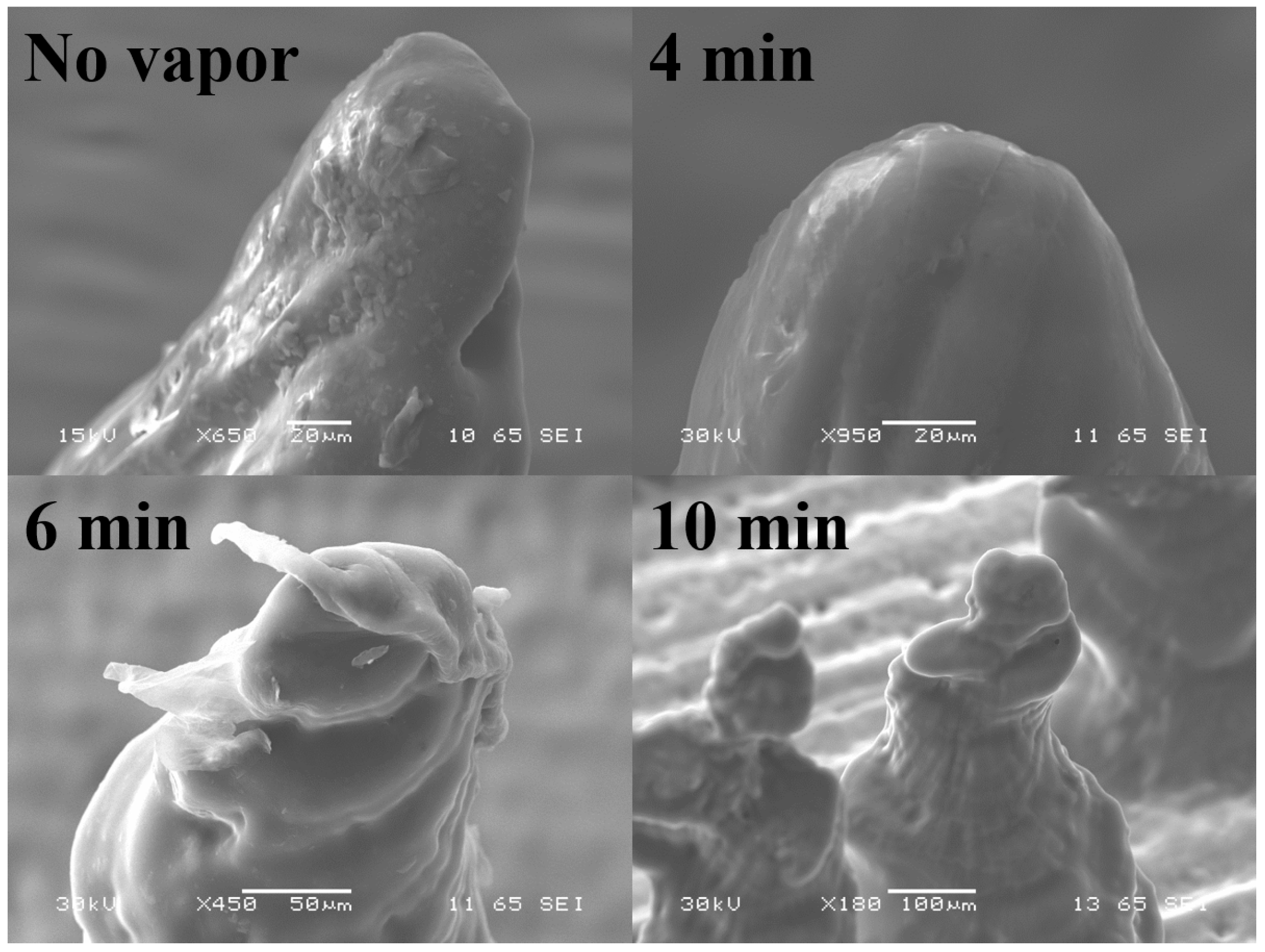 Micromachines 09 00085 g007