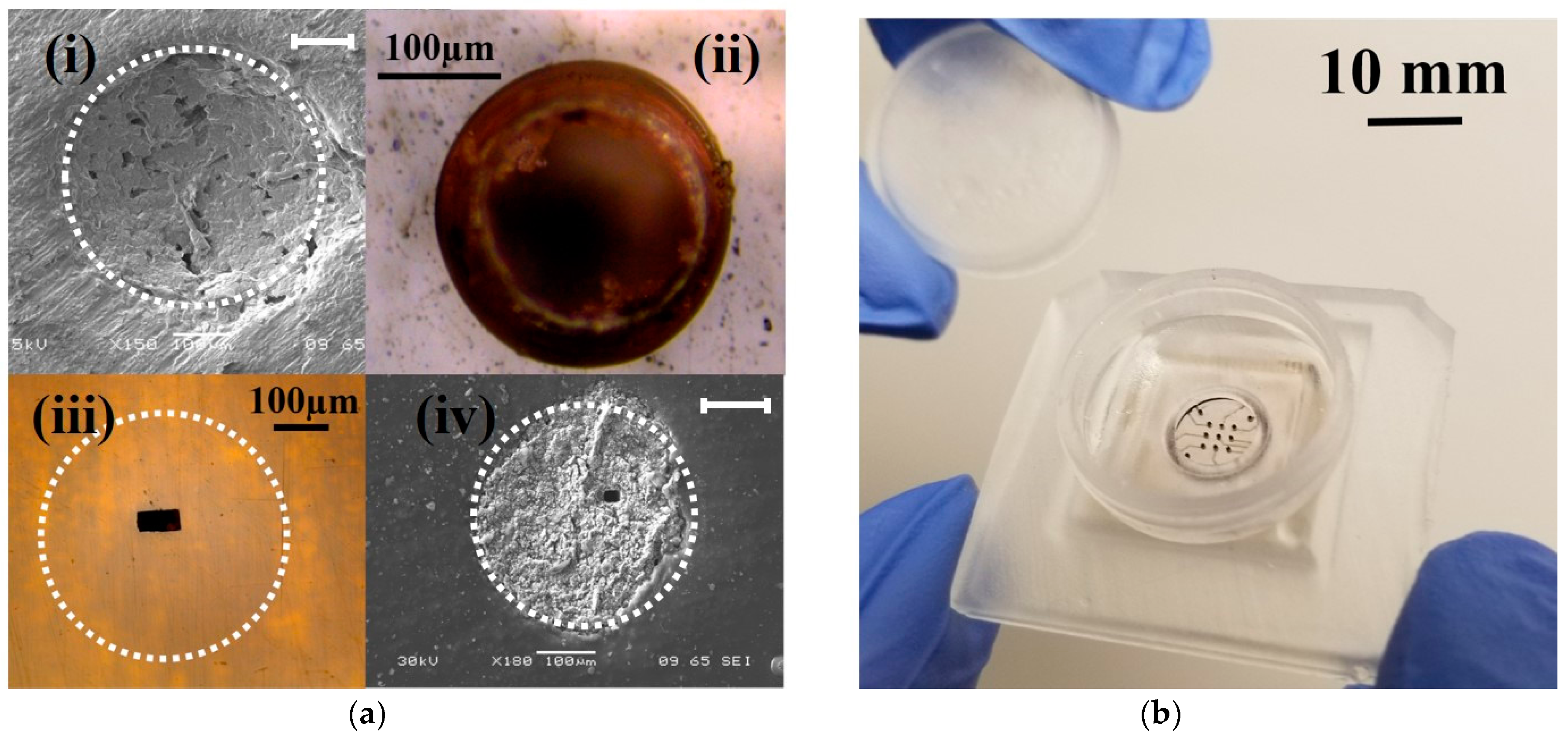 Micromachines 09 00085 g009