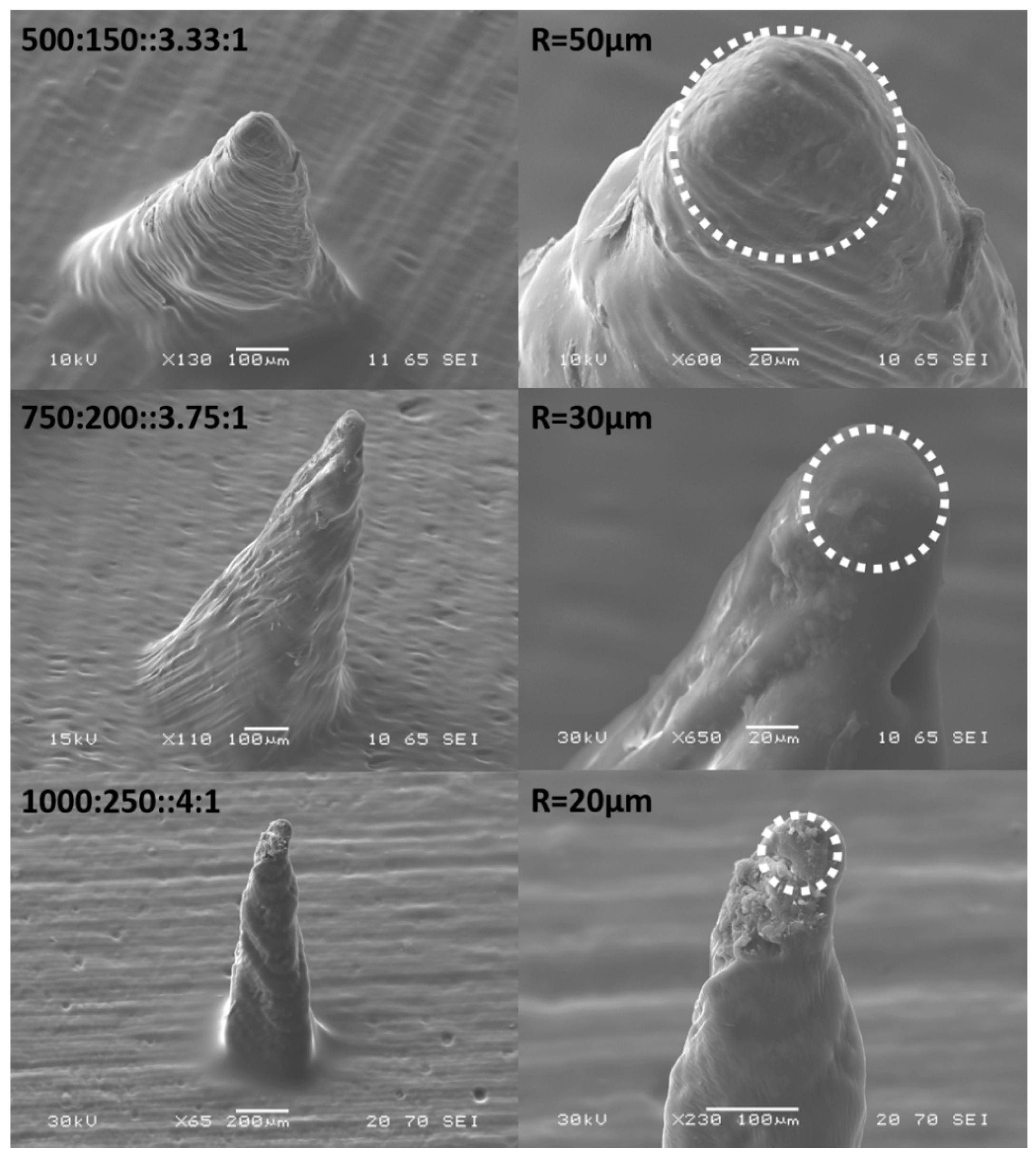 Micromachines 09 00085 g014