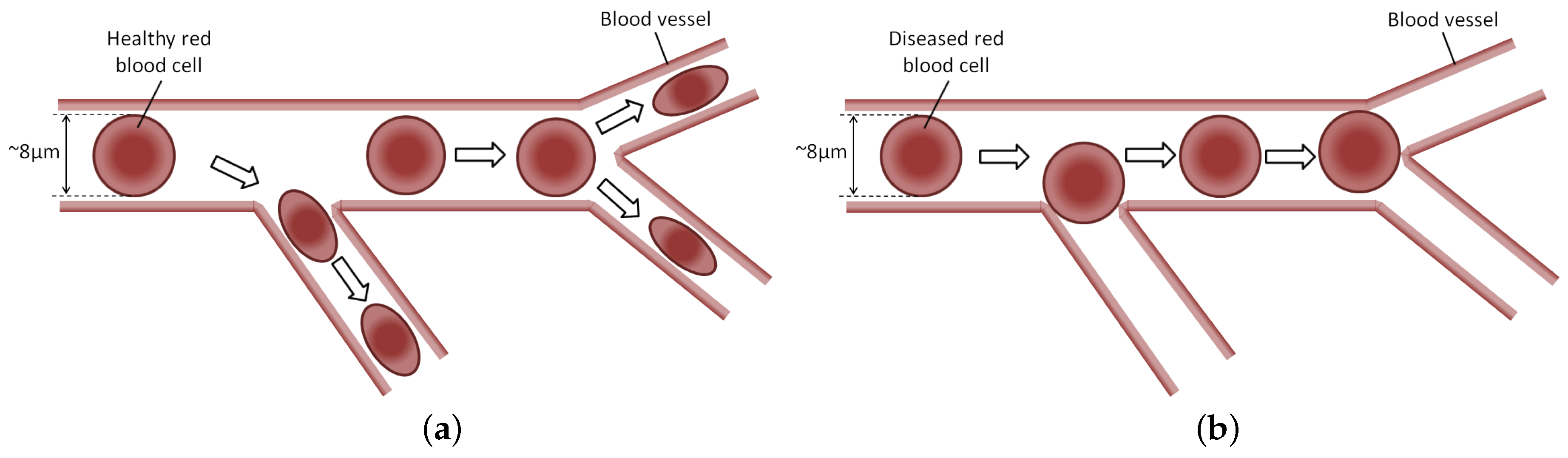 Micromachines 09 00108 g001 550
