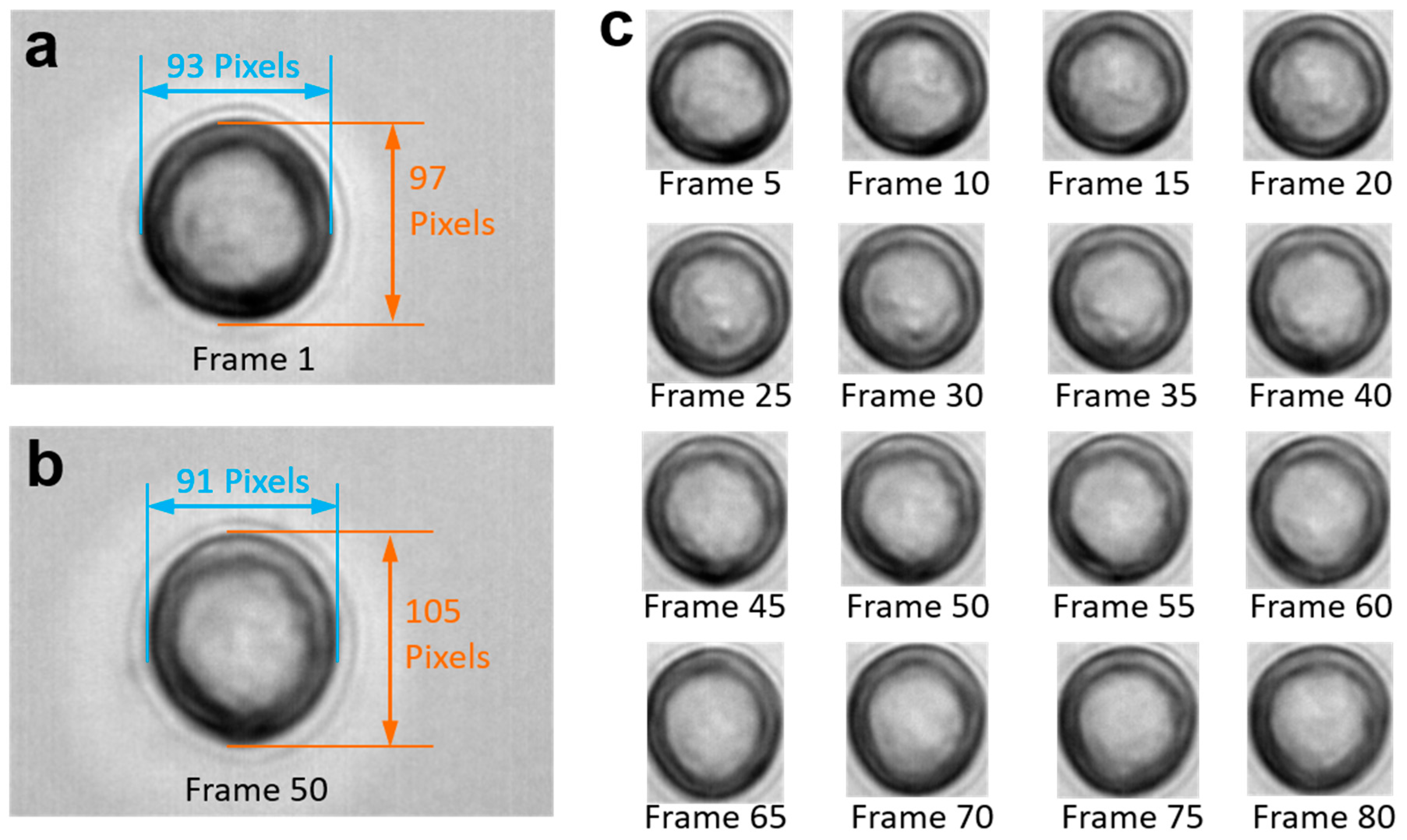 Micromachines 09 00118 g001 550