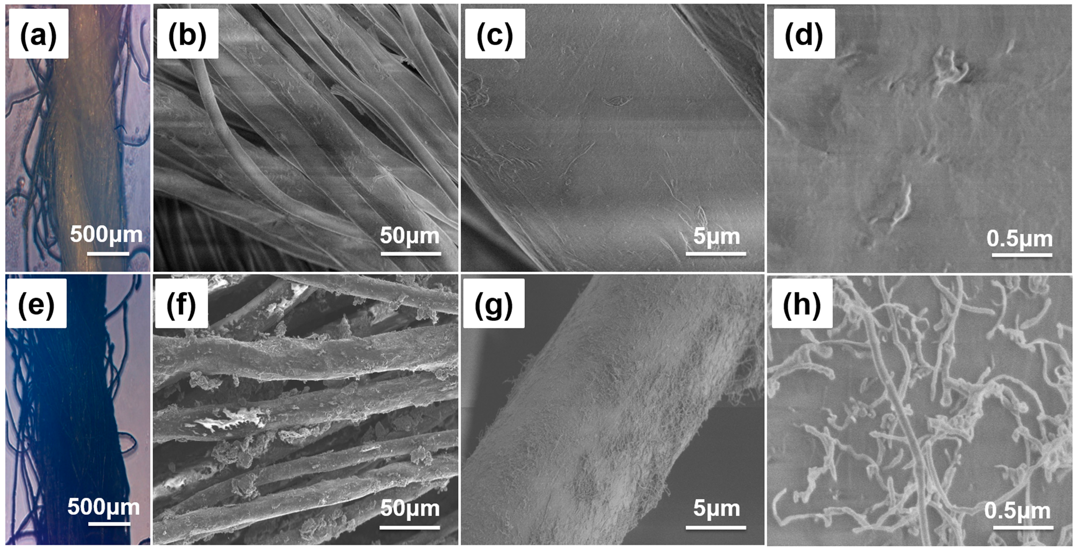 Micromachines 09 00132 g003 Micromachines 09 00132 g003