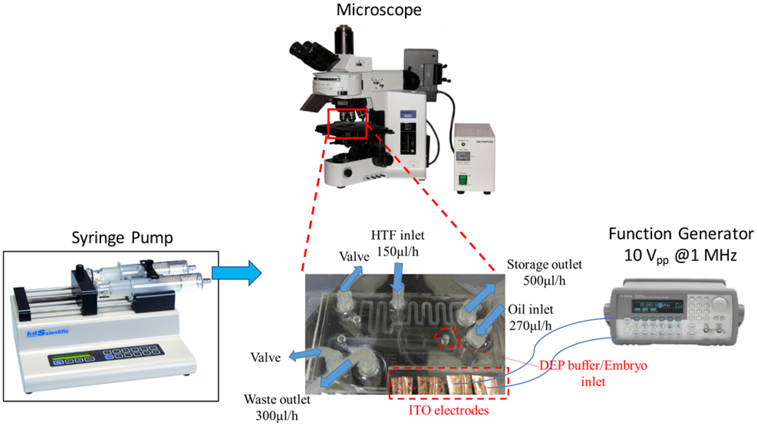 Micromachines 09 00135 g005