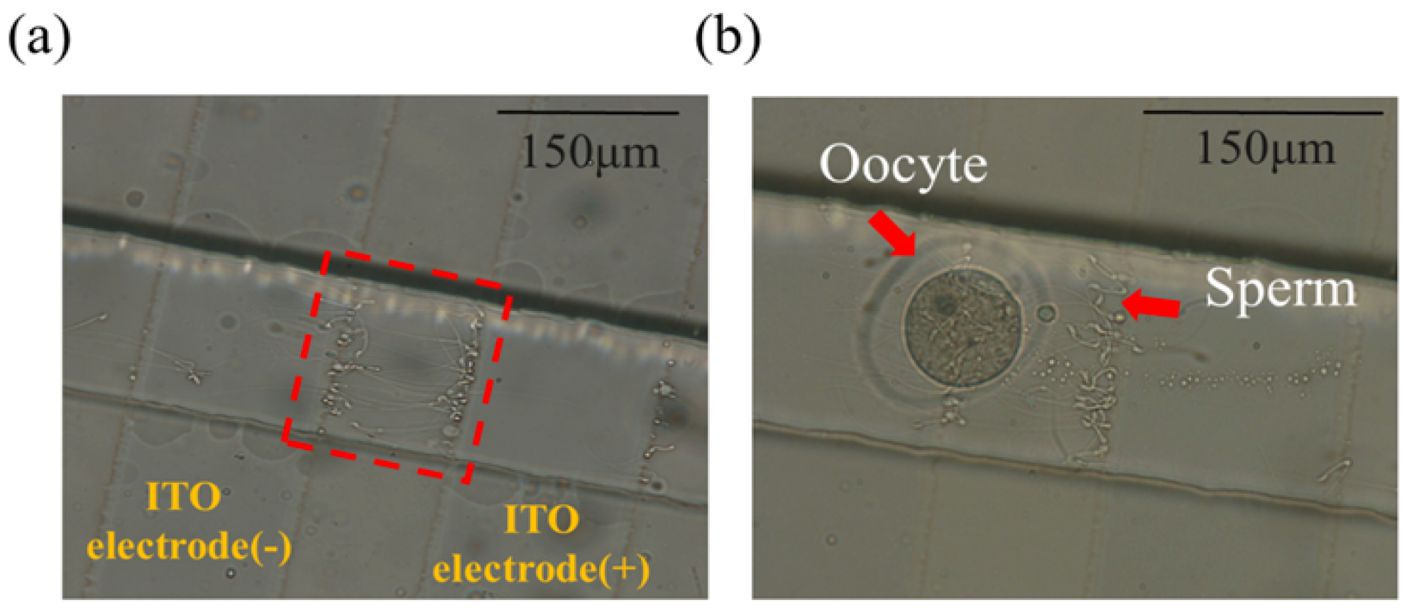 Micromachines 09 00135 g006