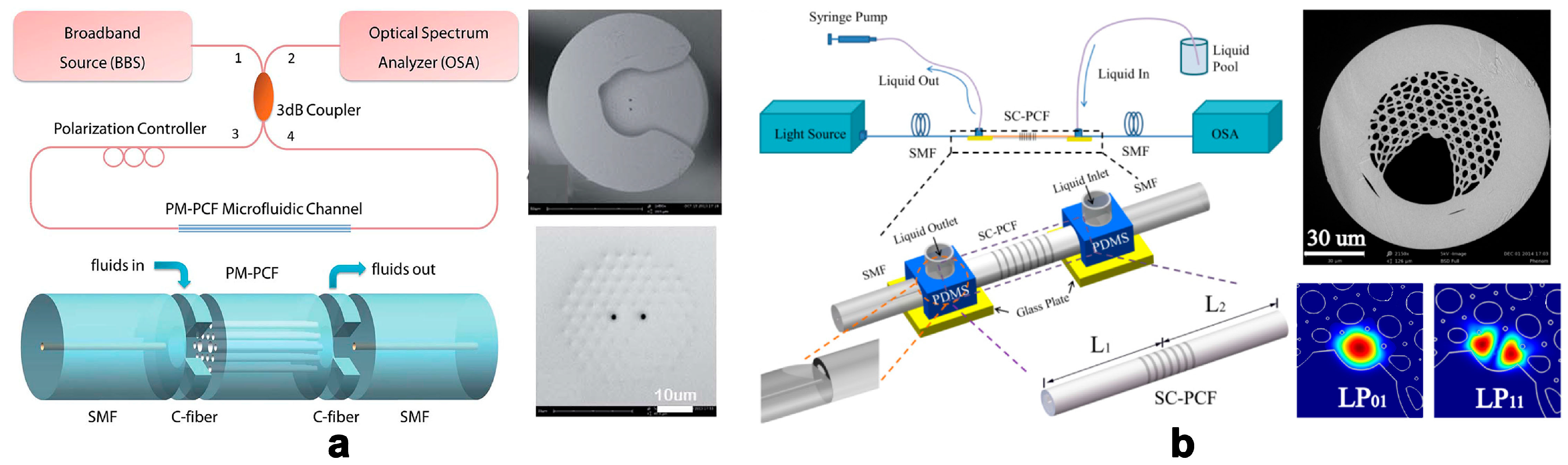 Micromachines 09 00136 g001 550