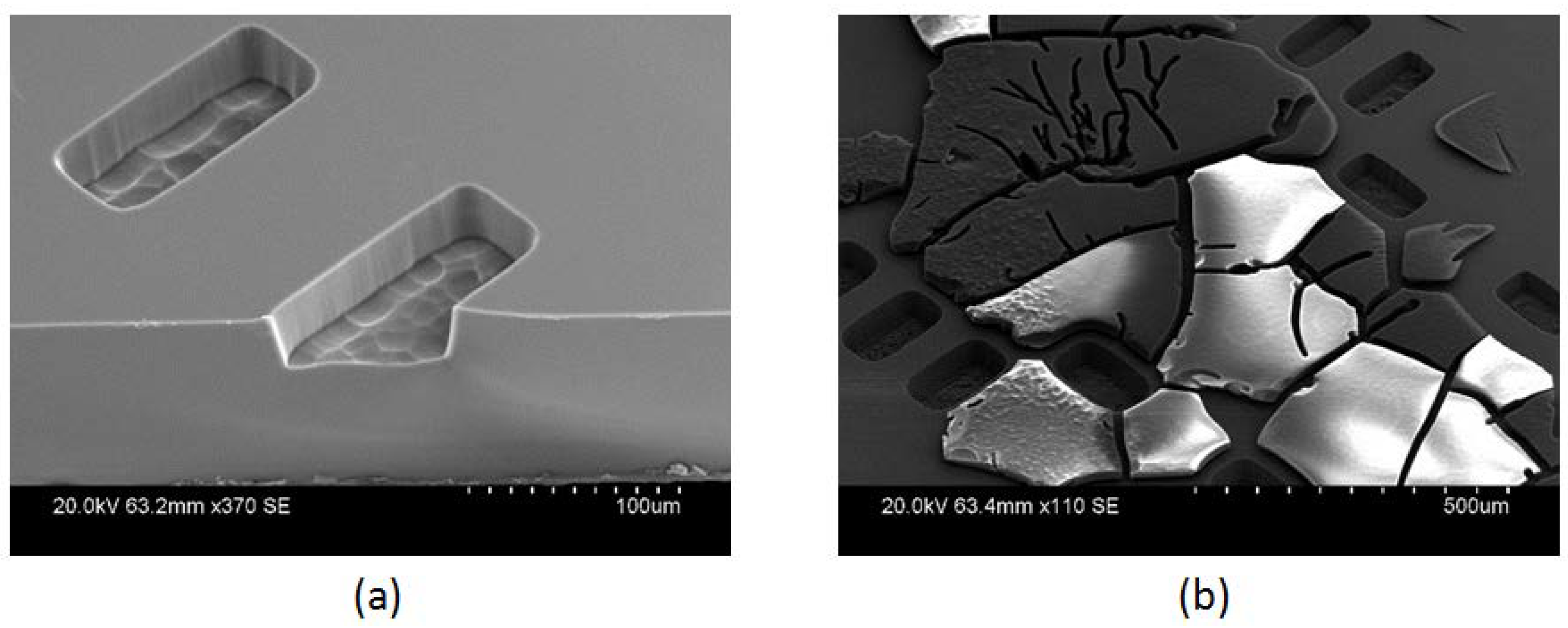 Micromachines 09 00138 g003 550