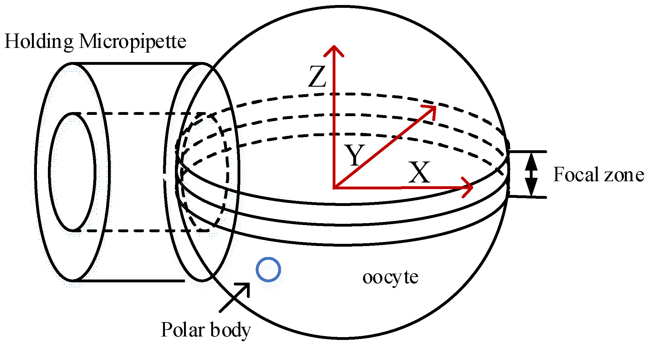 Micromachines 09 00141 g001 550