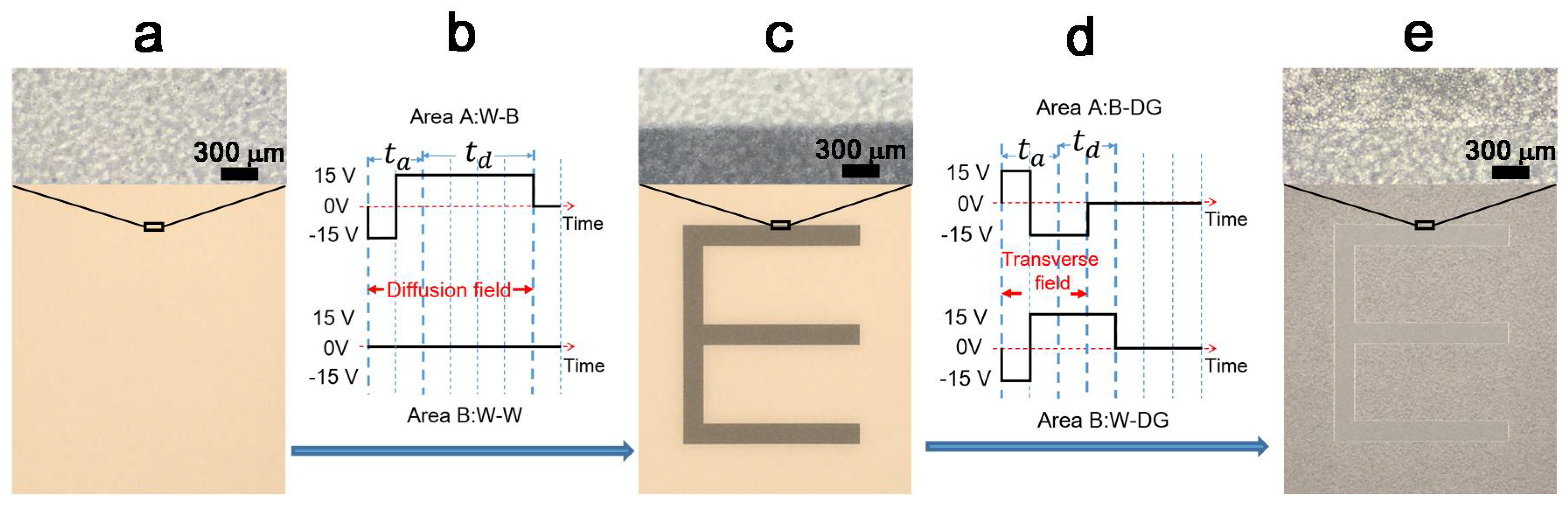 Micromachines 09 00143 g002 550