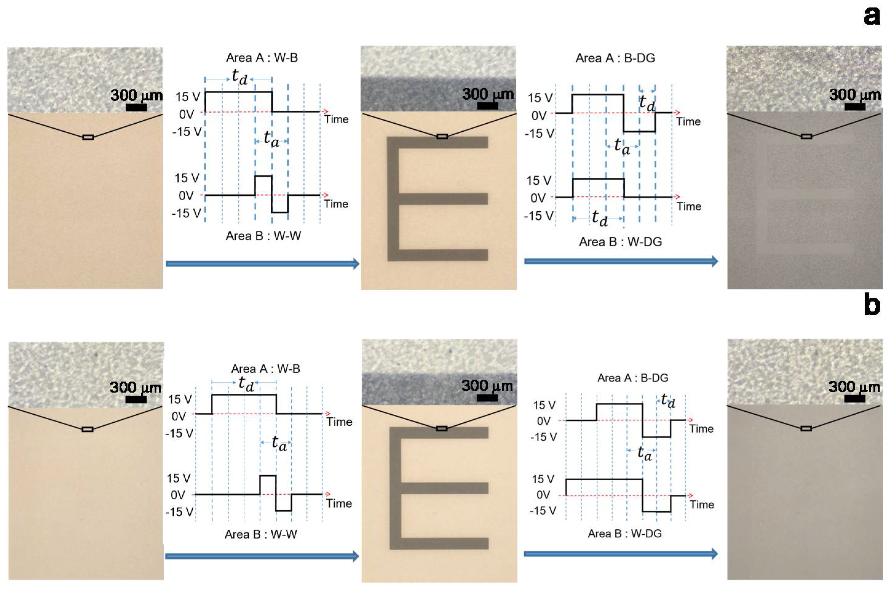 Micromachines 09 00143 g005 550