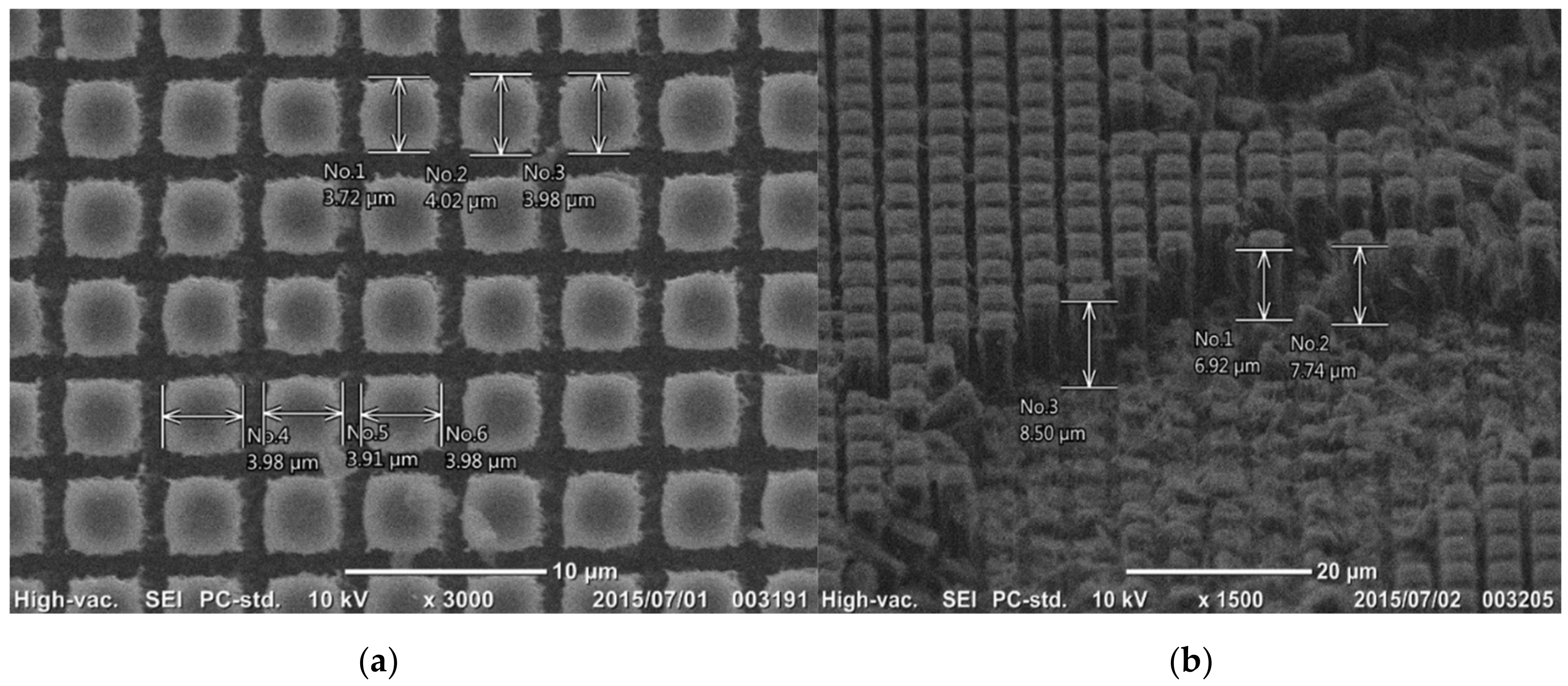 Micromachines 09 00147 g006 550