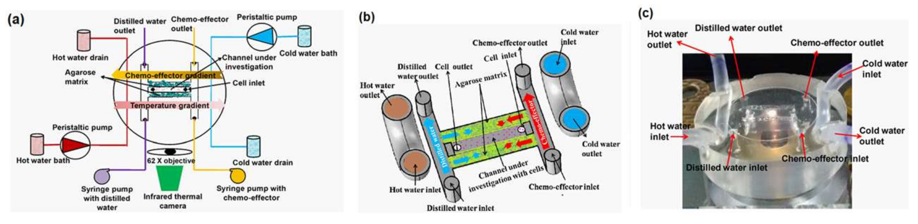 Micromachines 09 00149 g006