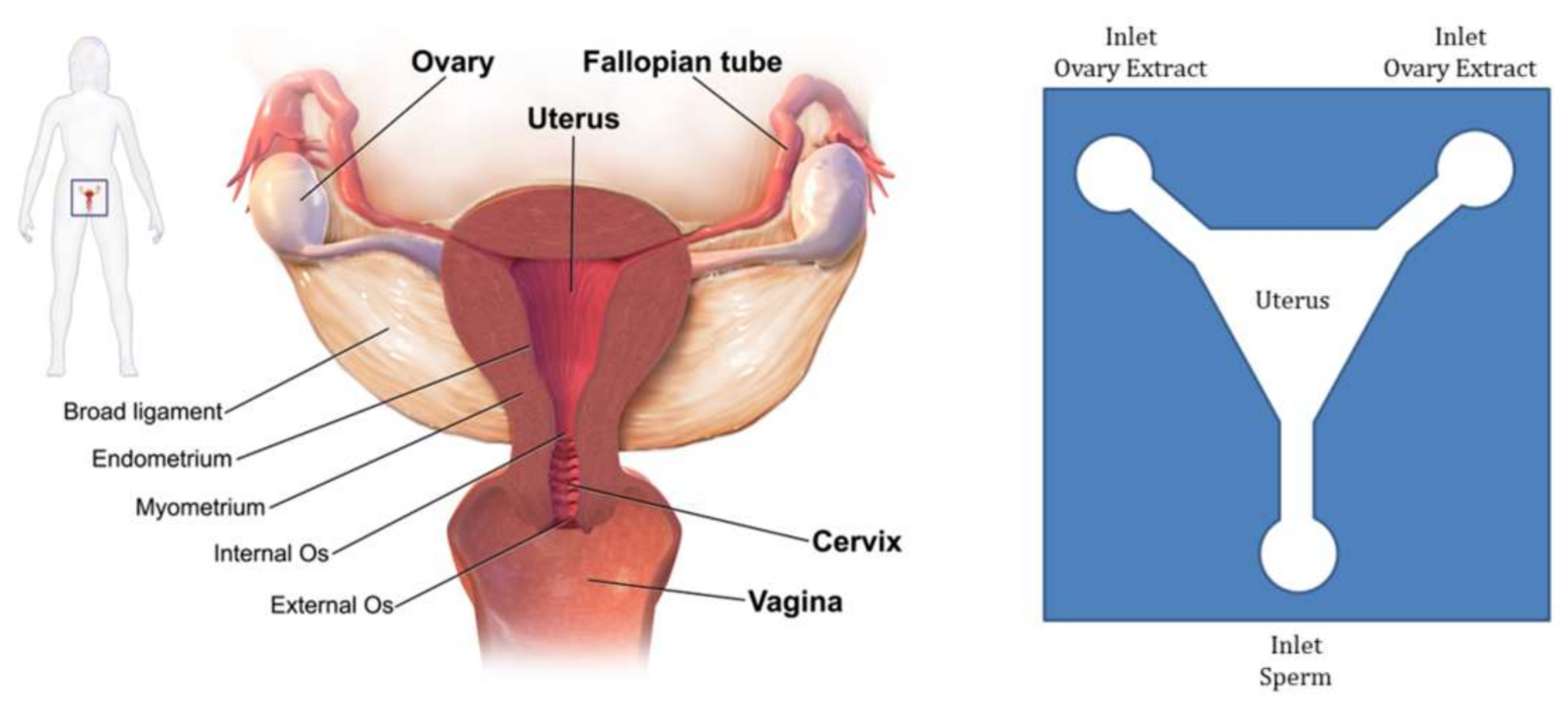 Micromachines 09 00149 g008