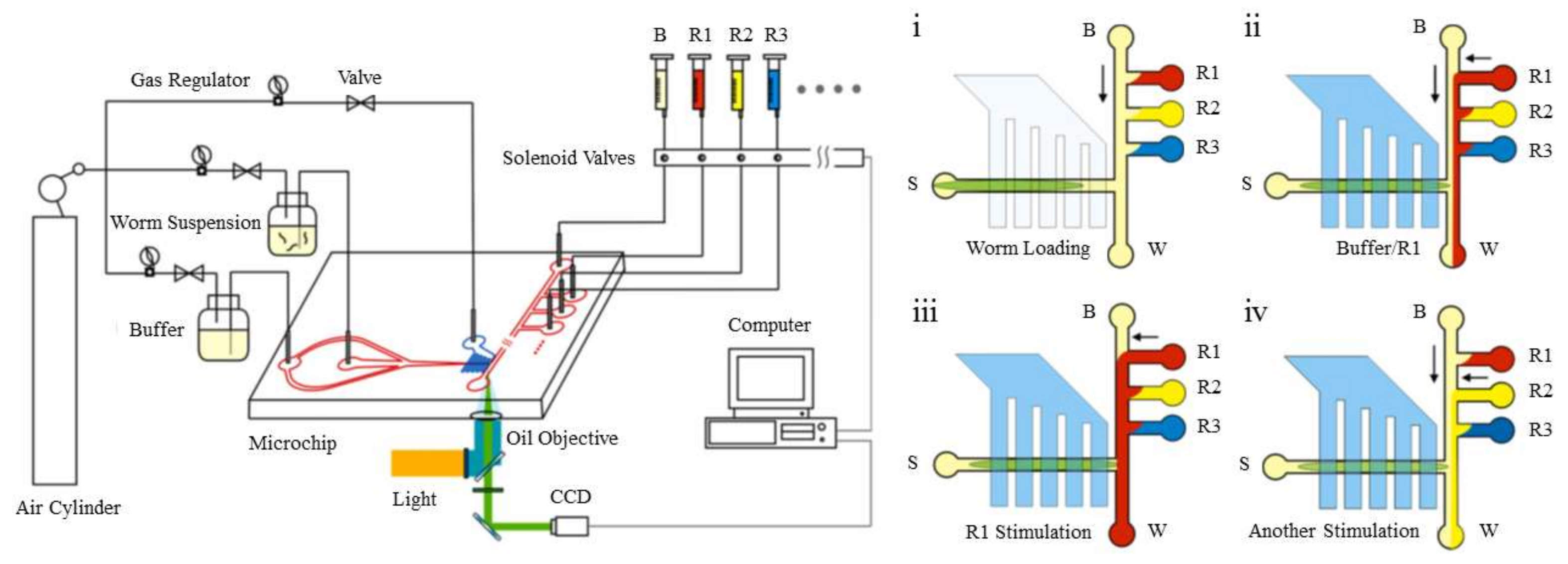 Micromachines 09 00149 g010