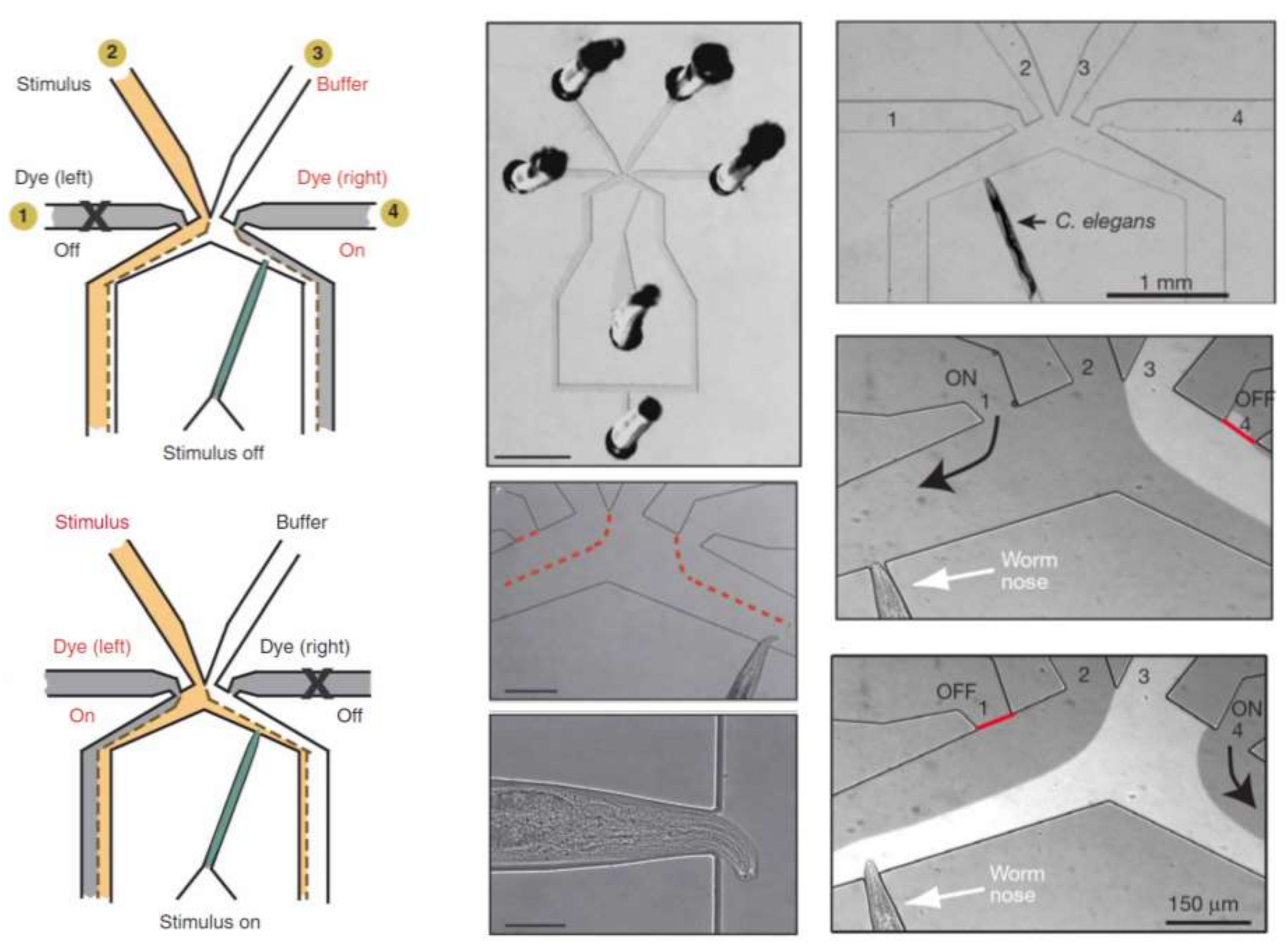 Micromachines 09 00149 g012