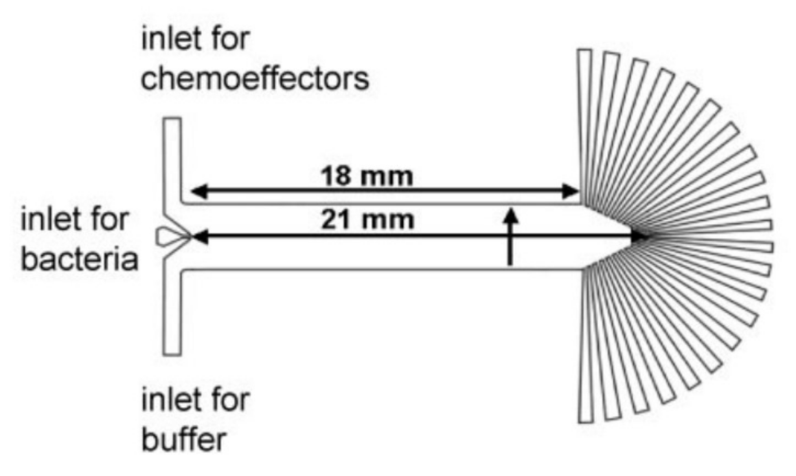 Micromachines 09 00149 g015