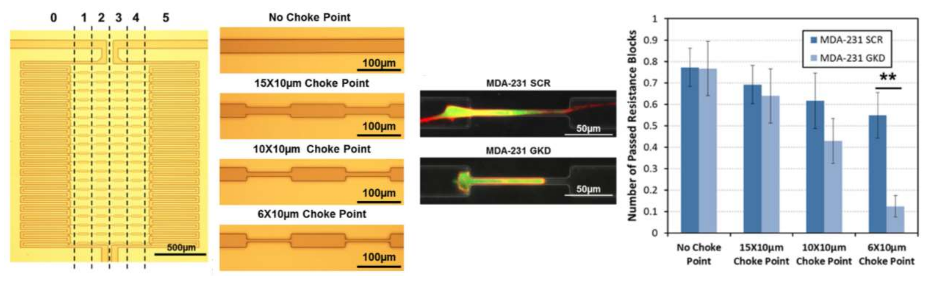 Micromachines 09 00149 g018