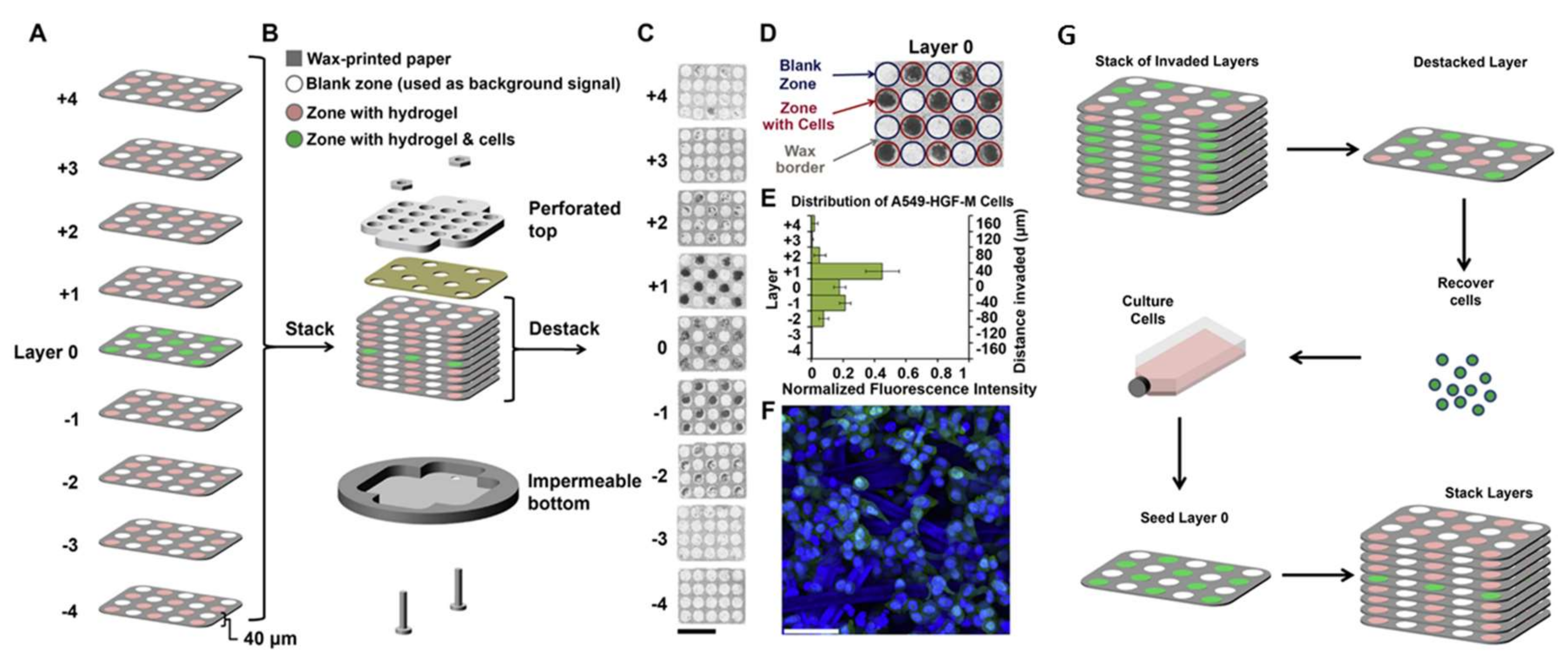 Micromachines 09 00149 g019