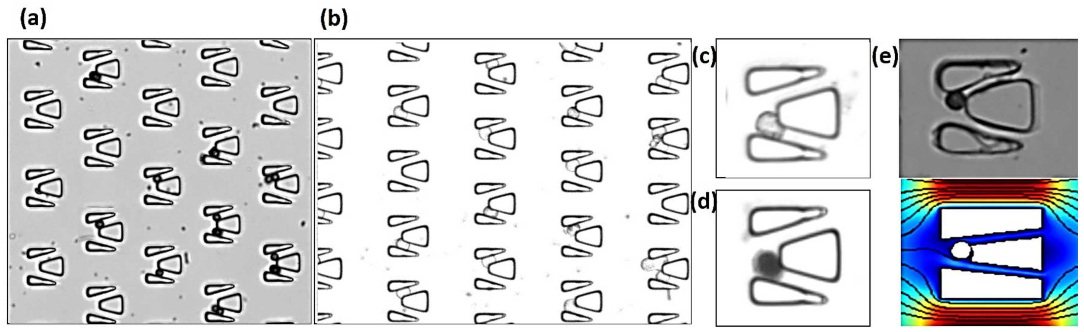 Micromachines 09 00157 g008 550