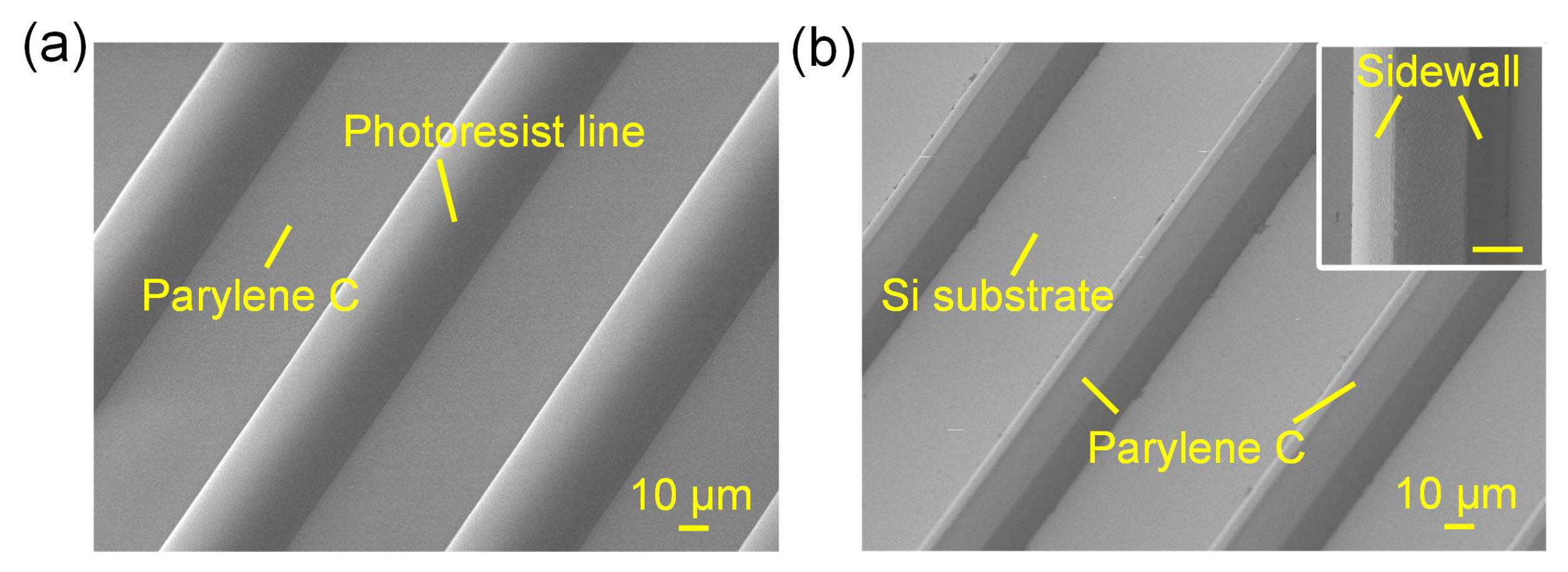 Micromachines 09 00162 g005