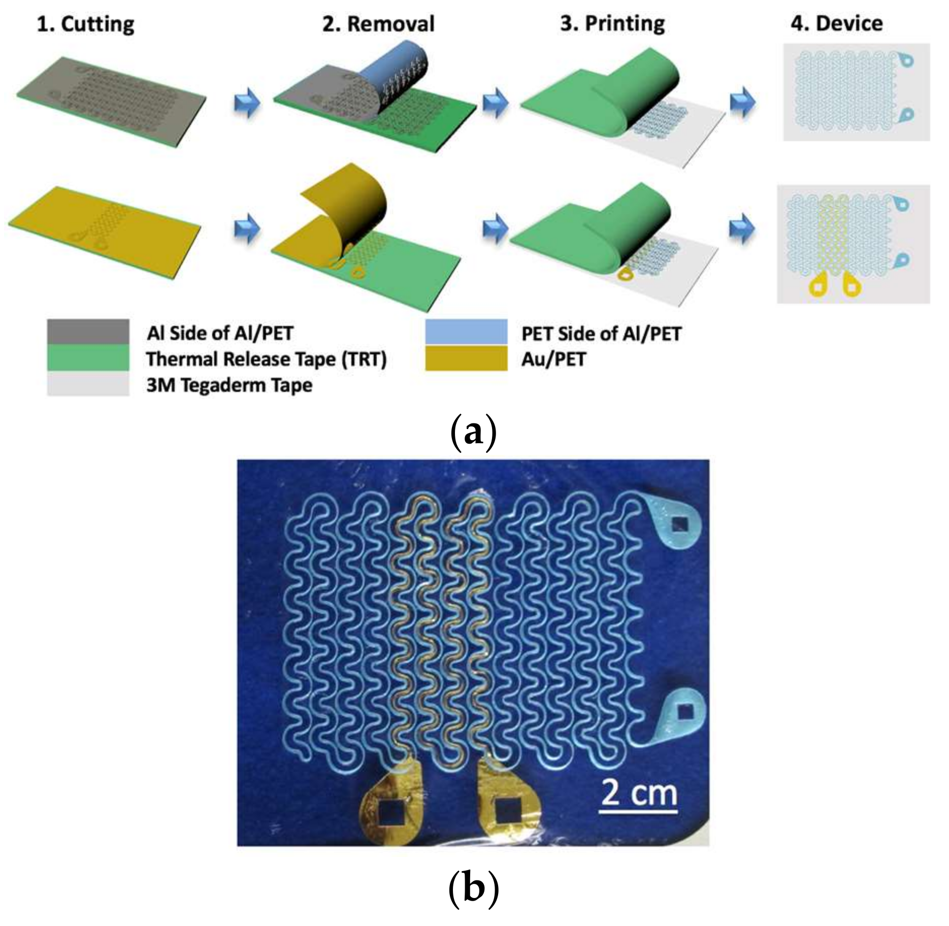 Micromachines 09 00170 g001 Micromachines 09 00170 g001