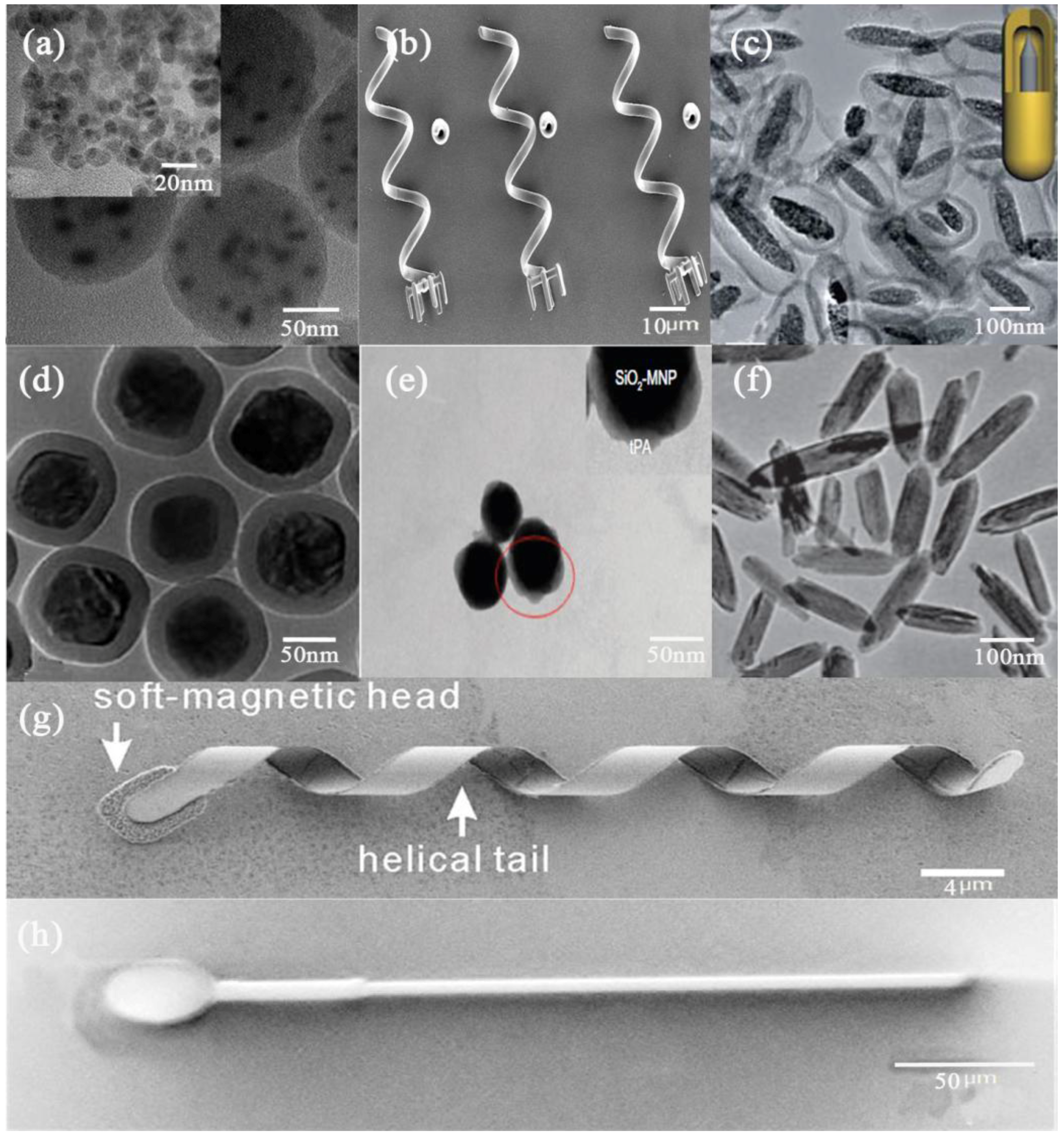 Micromachines 09 00182 g001