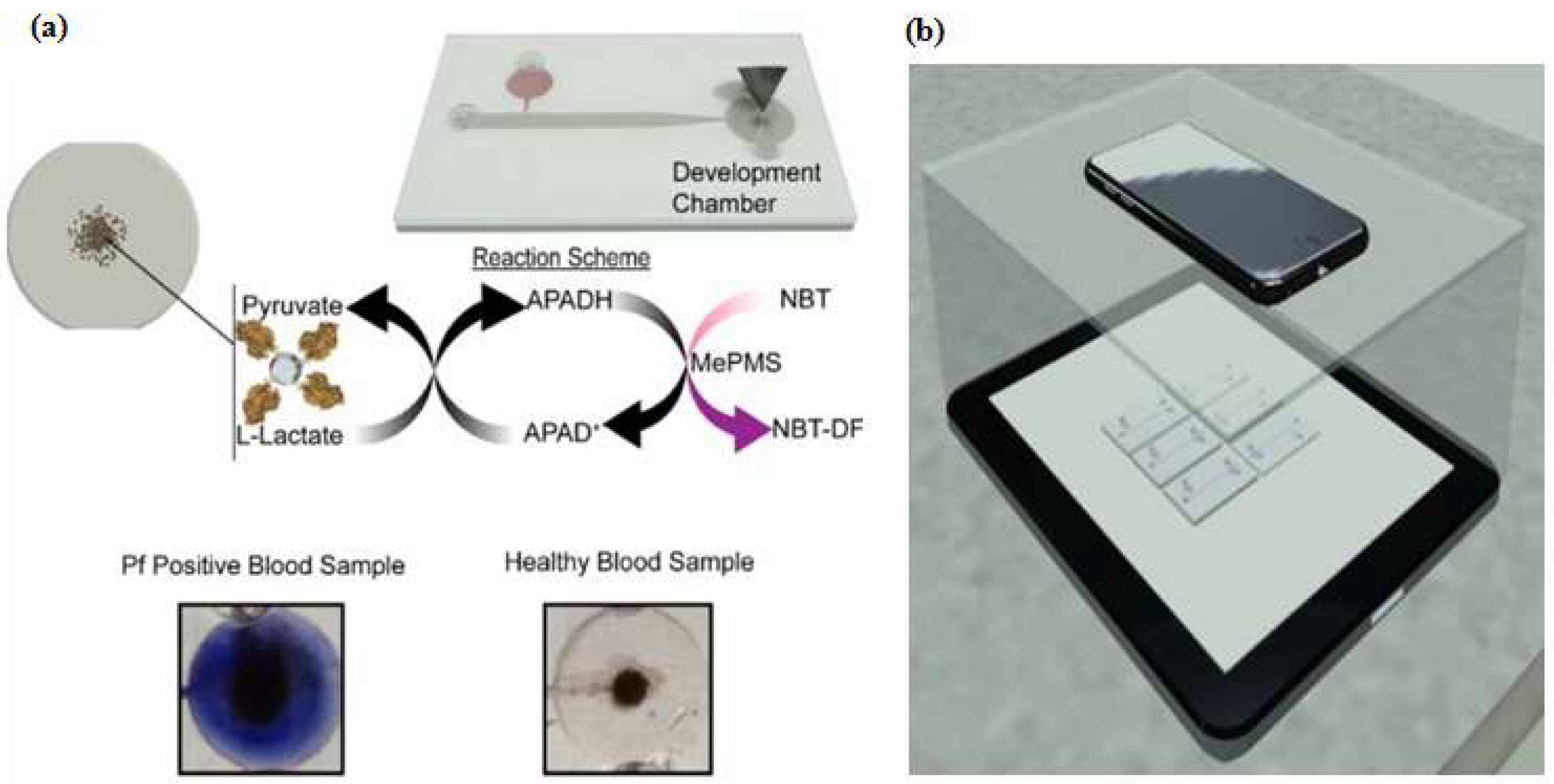Micromachines 09 00202 g009 Micromachines 09 00202 g009
