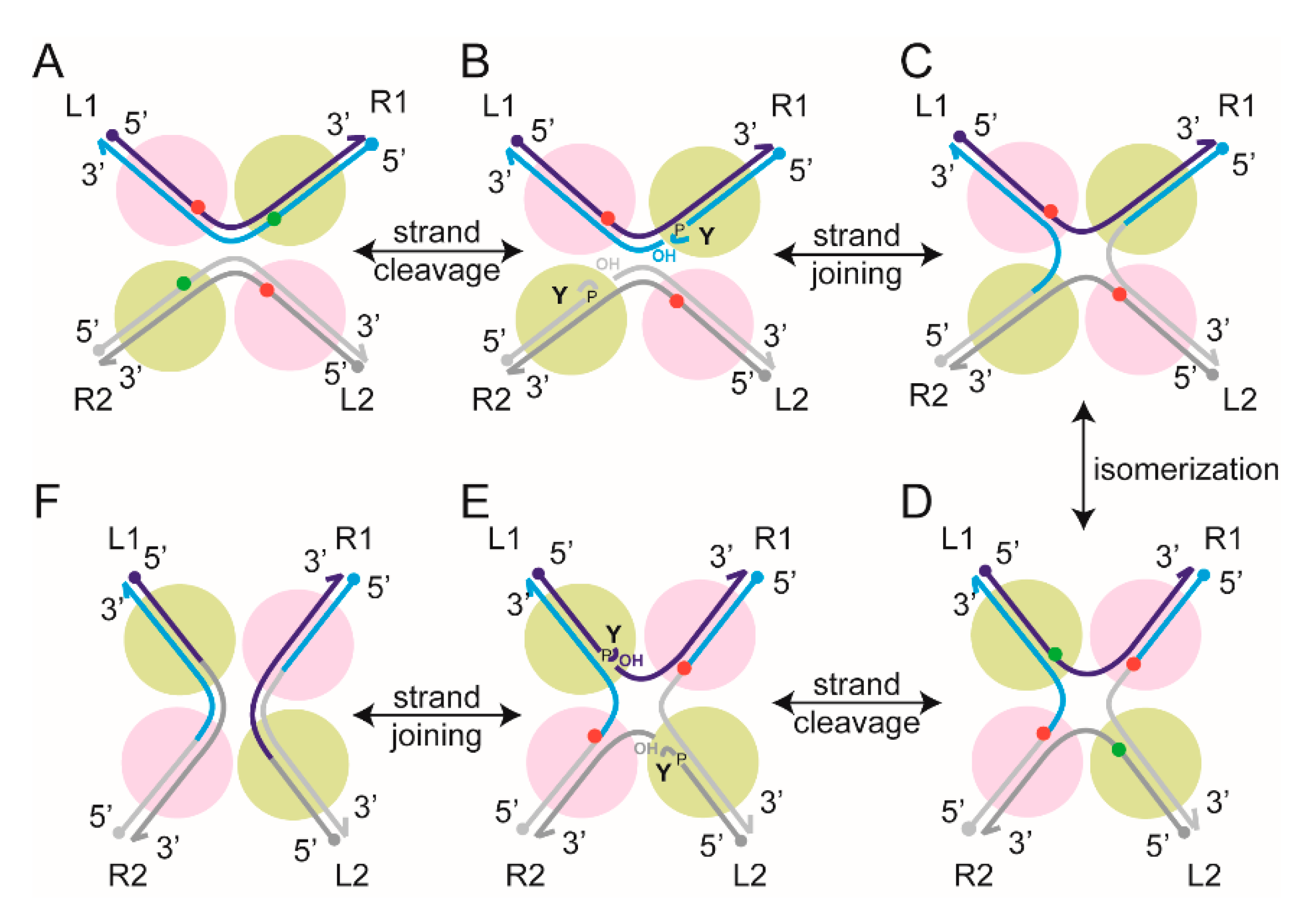 Micromachines 09 00216 g003 Micromachines 09 00216 g003