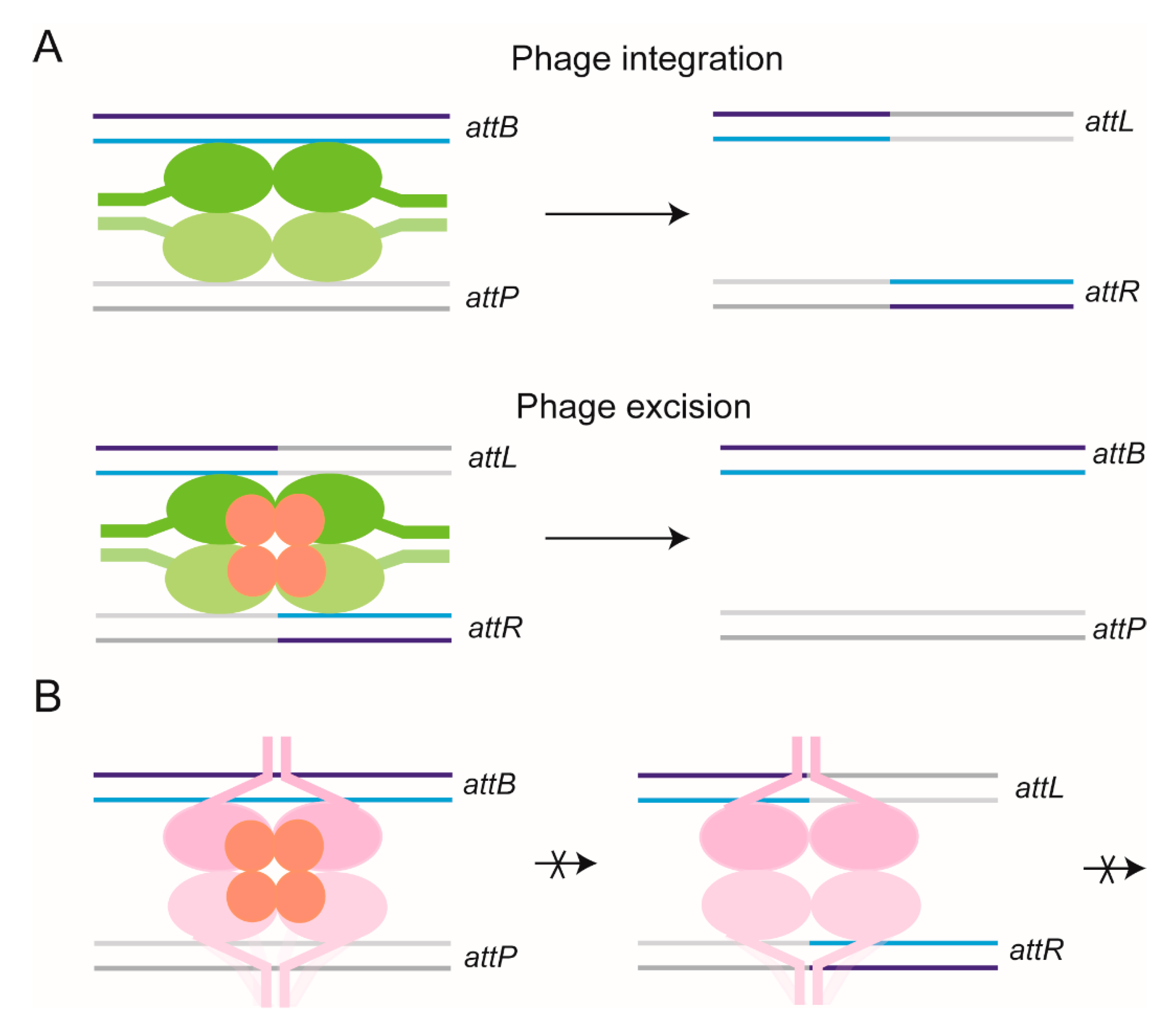 Micromachines 09 00216 g009 Micromachines 09 00216 g009