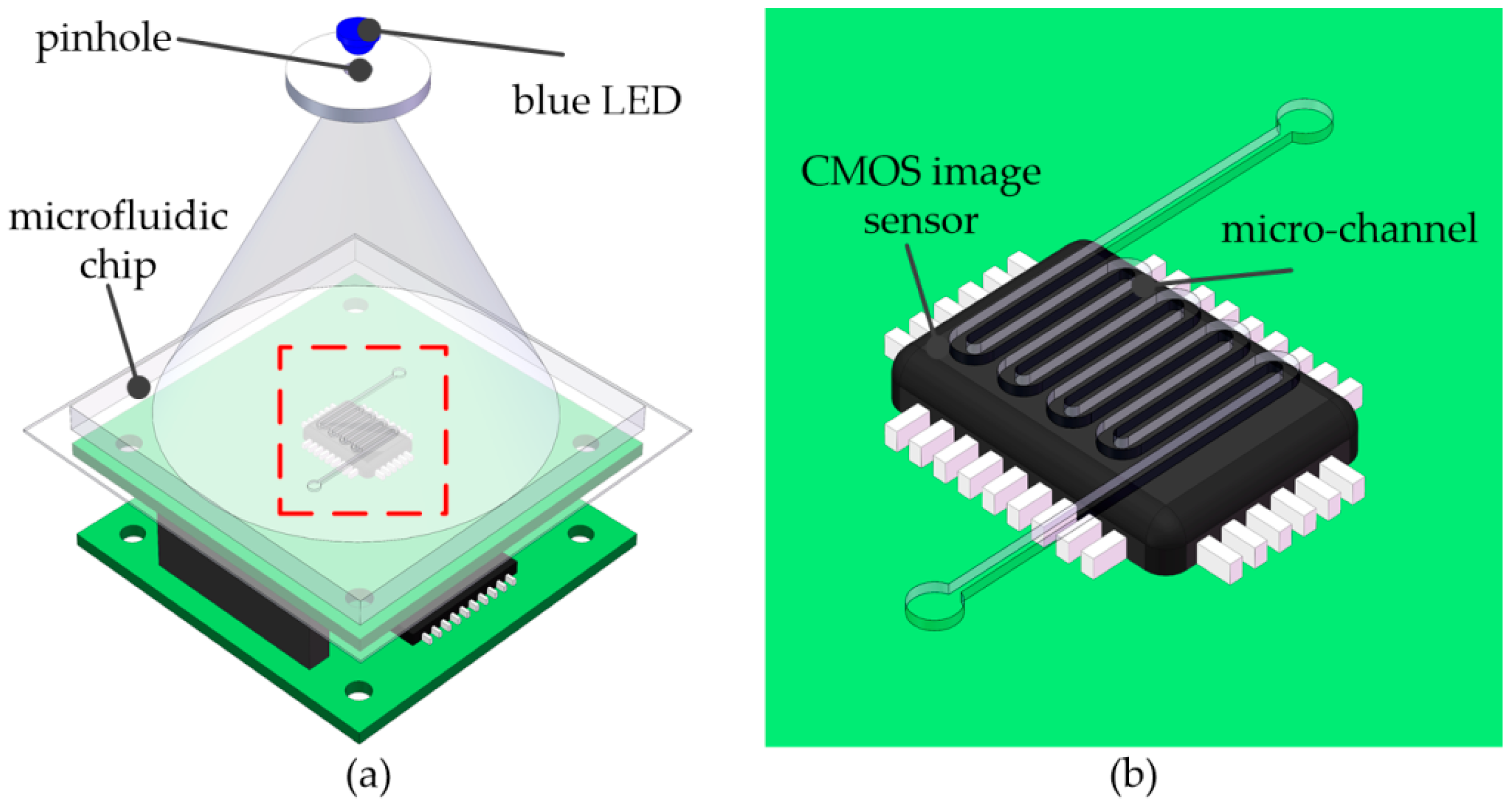 High-Precision Lens-Less Flow Cytometer on a Chip