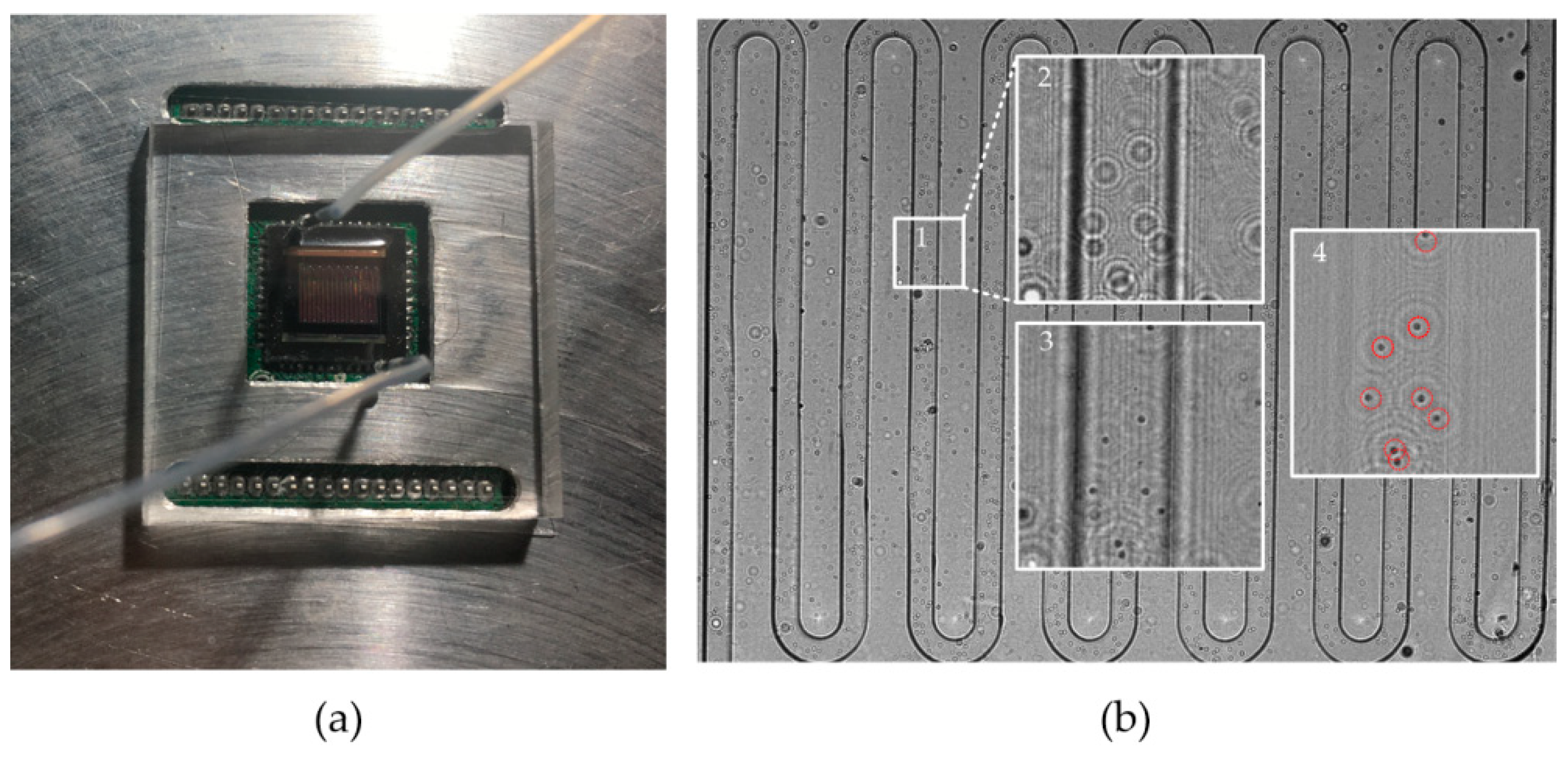 Micromachines 09 00227 g002 550