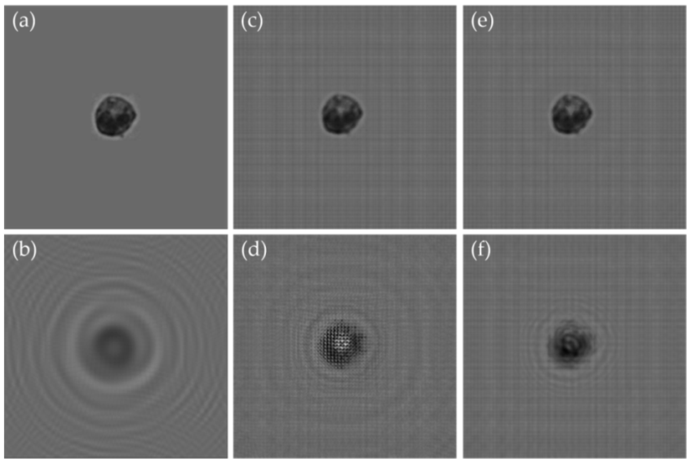 Micromachines 09 00227 g005 550