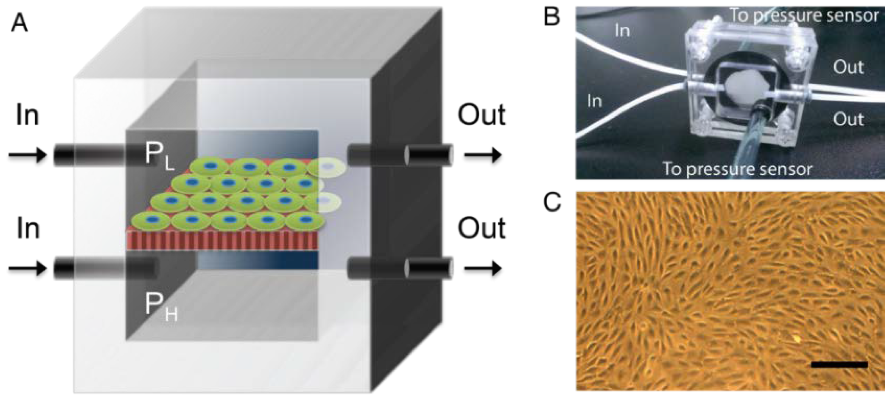 Micromachines 09 00228 g001 Micromachines 09 00228 g001